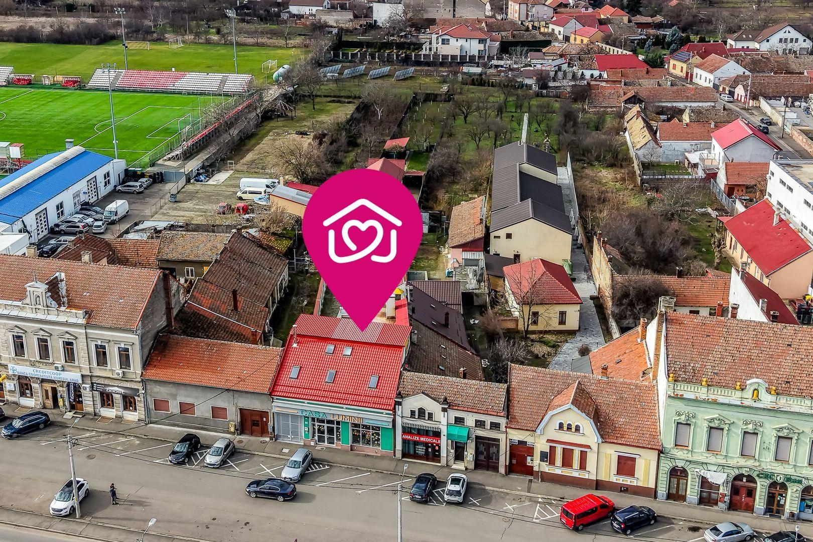 3 surse de venit într-o SINGURĂ proprietate de 950 mp în Aradul Nou - 1