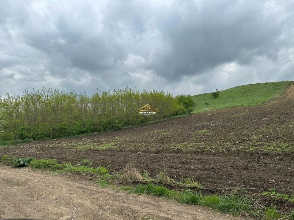 Teren extravilan, 5868 mp, Rediu €75.000 Cod Oferta: 9098 - 9