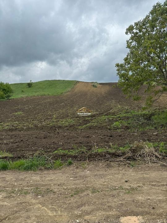 Teren extravilan, 5868 mp, Rediu €75.000 Cod Oferta: 9098 - 4