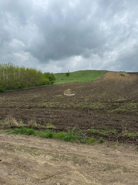 Teren extravilan, 5868 mp, Rediu €75.000 Cod Oferta: 9098 - 3