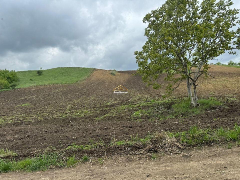 Teren extravilan, 5868 mp, Rediu €75.000 Cod Oferta: 9098 - 7