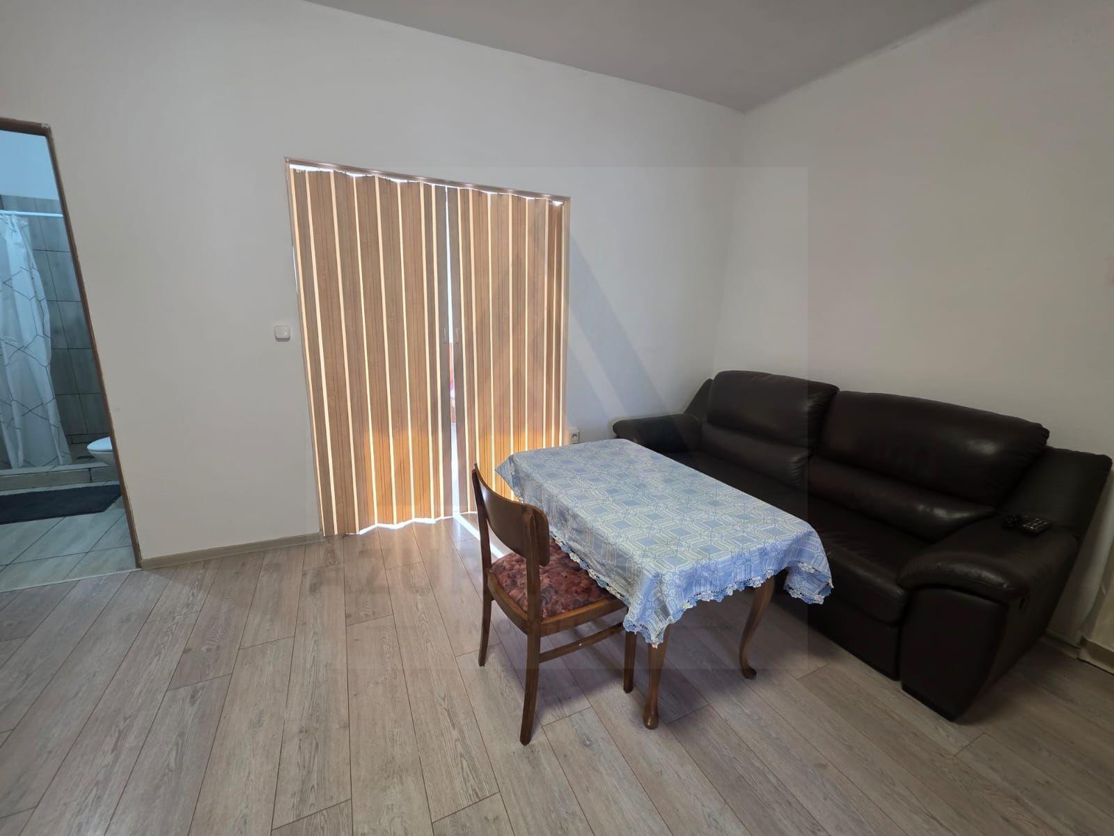 Studio la curte utilat complet cu terasa zona Lazaret - 8