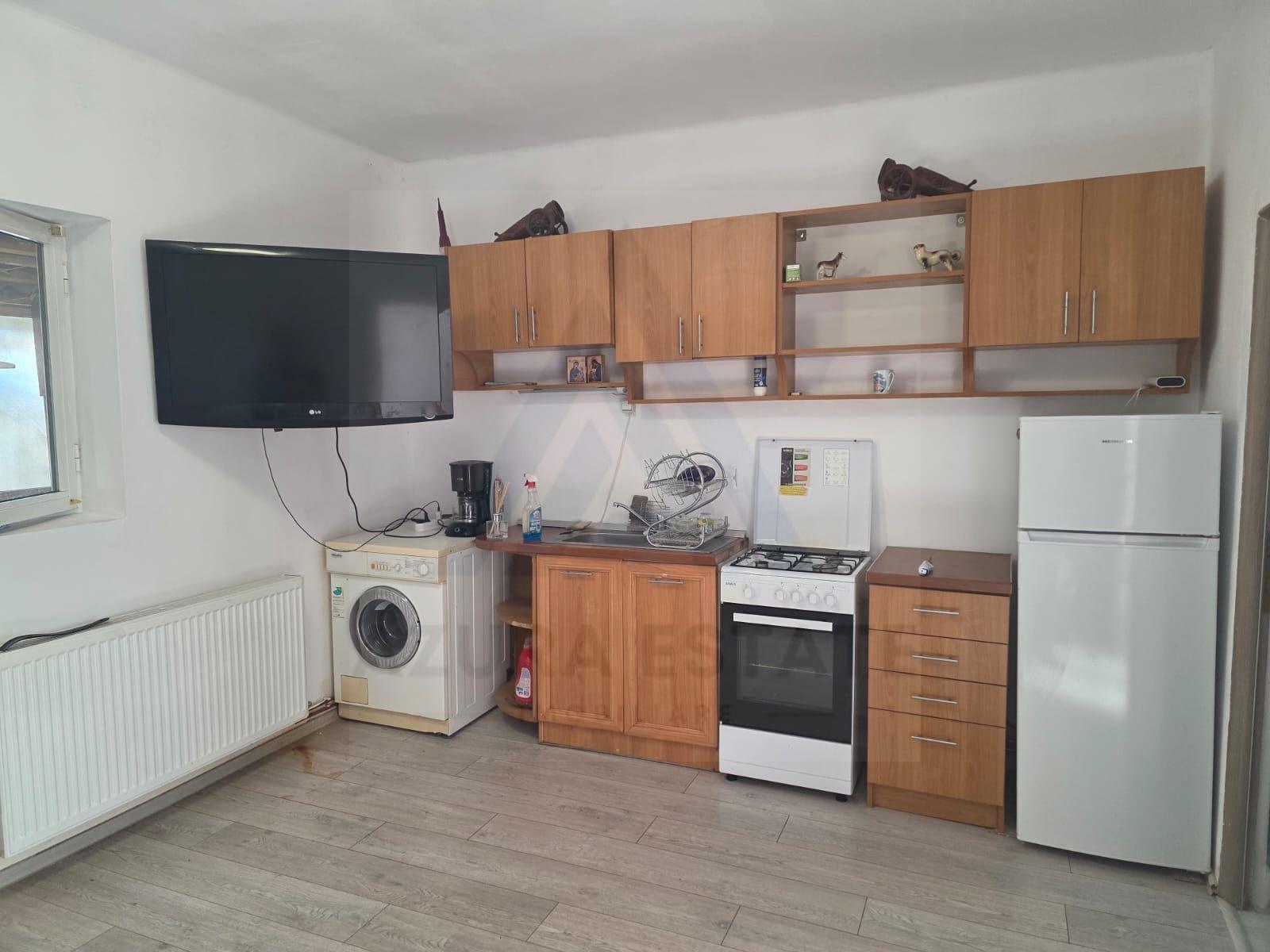 Studio la curte utilat complet cu terasa zona Lazaret - 11