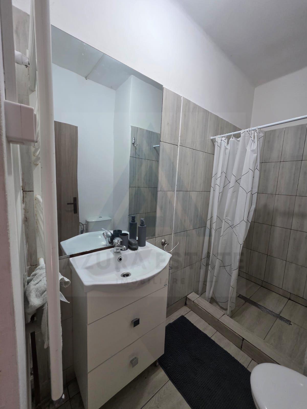 Studio la curte utilat complet cu terasa zona Lazaret - 14