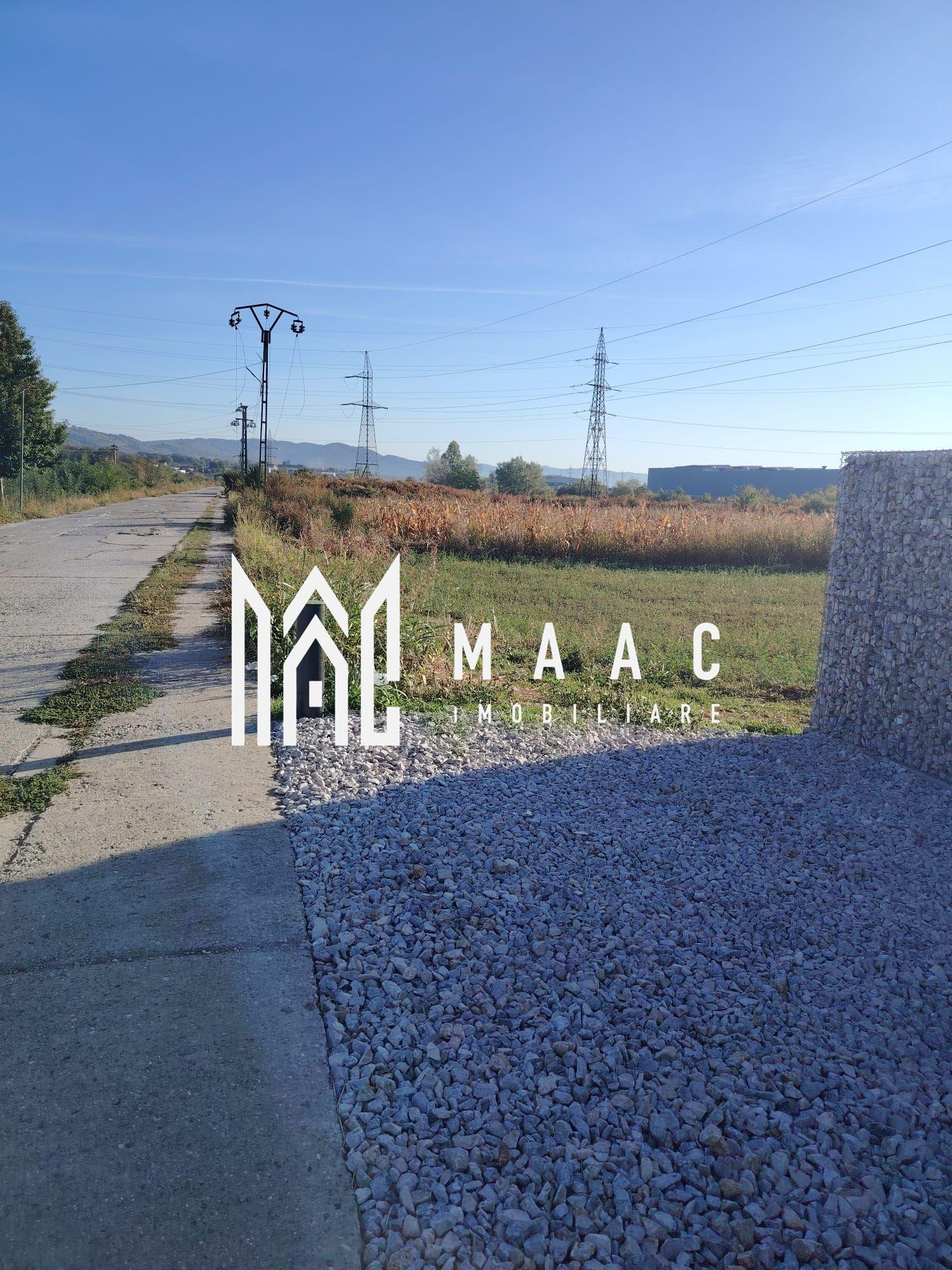 Teren de vânzare – Zonă industrială, lângă Vilmar - 3