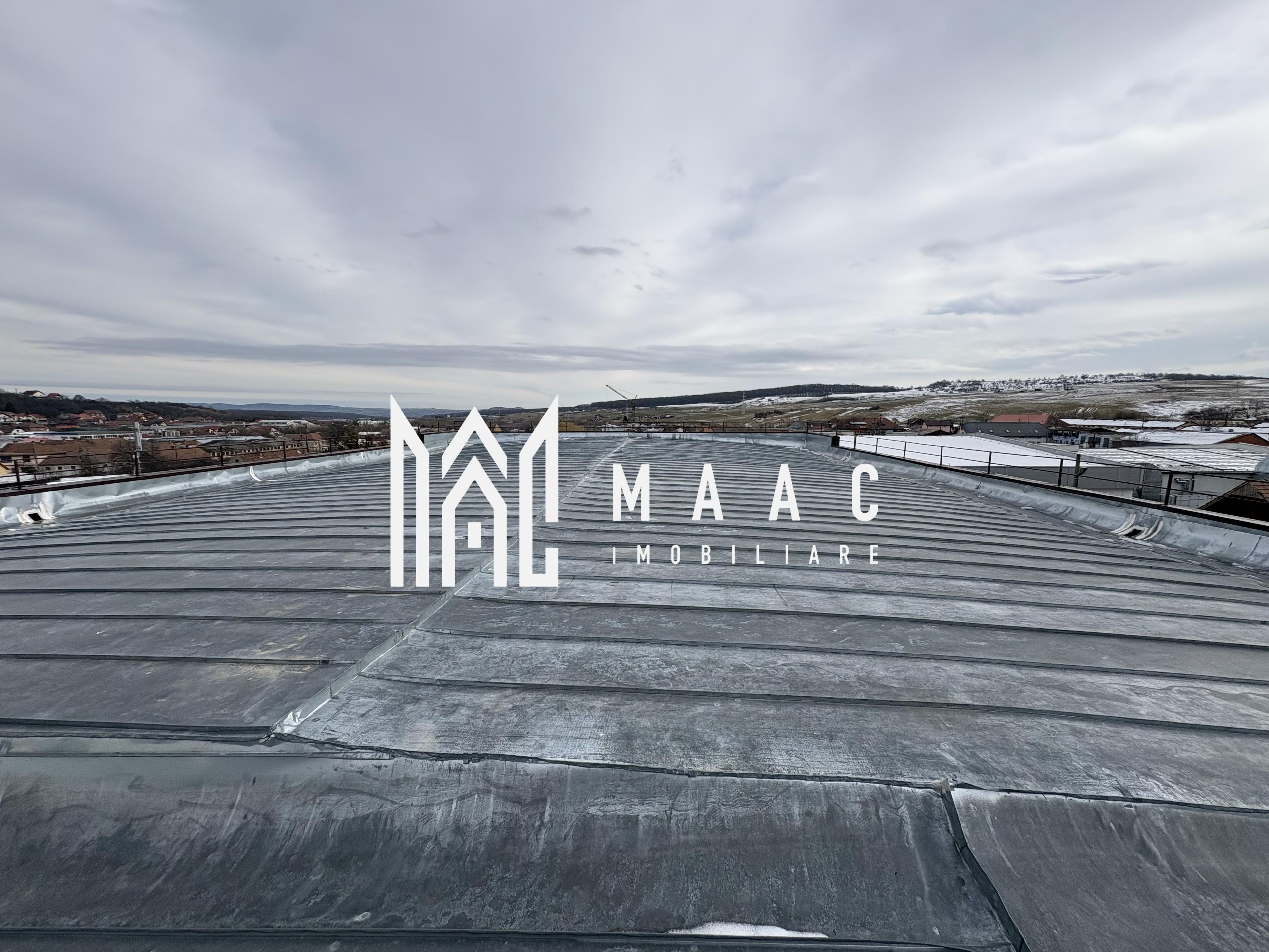 Hală industrială de vânzare I 1100 mp I Cisnadie - 11