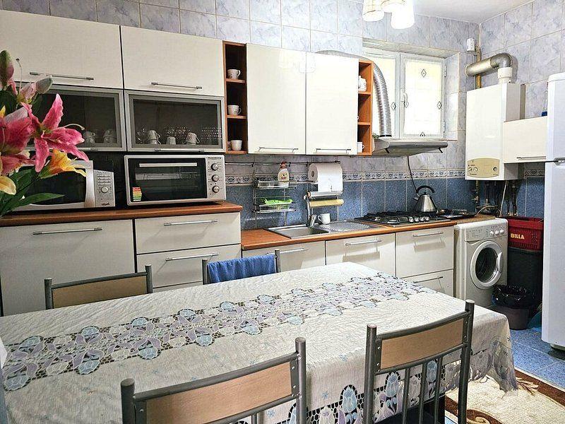 Casa individuala zona centrala - Facultatea de mecanica - 8