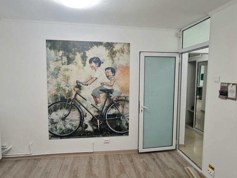 Oportunitate investitie - spatiu stradal Aurel Vlaicu, IC Frimu - 8