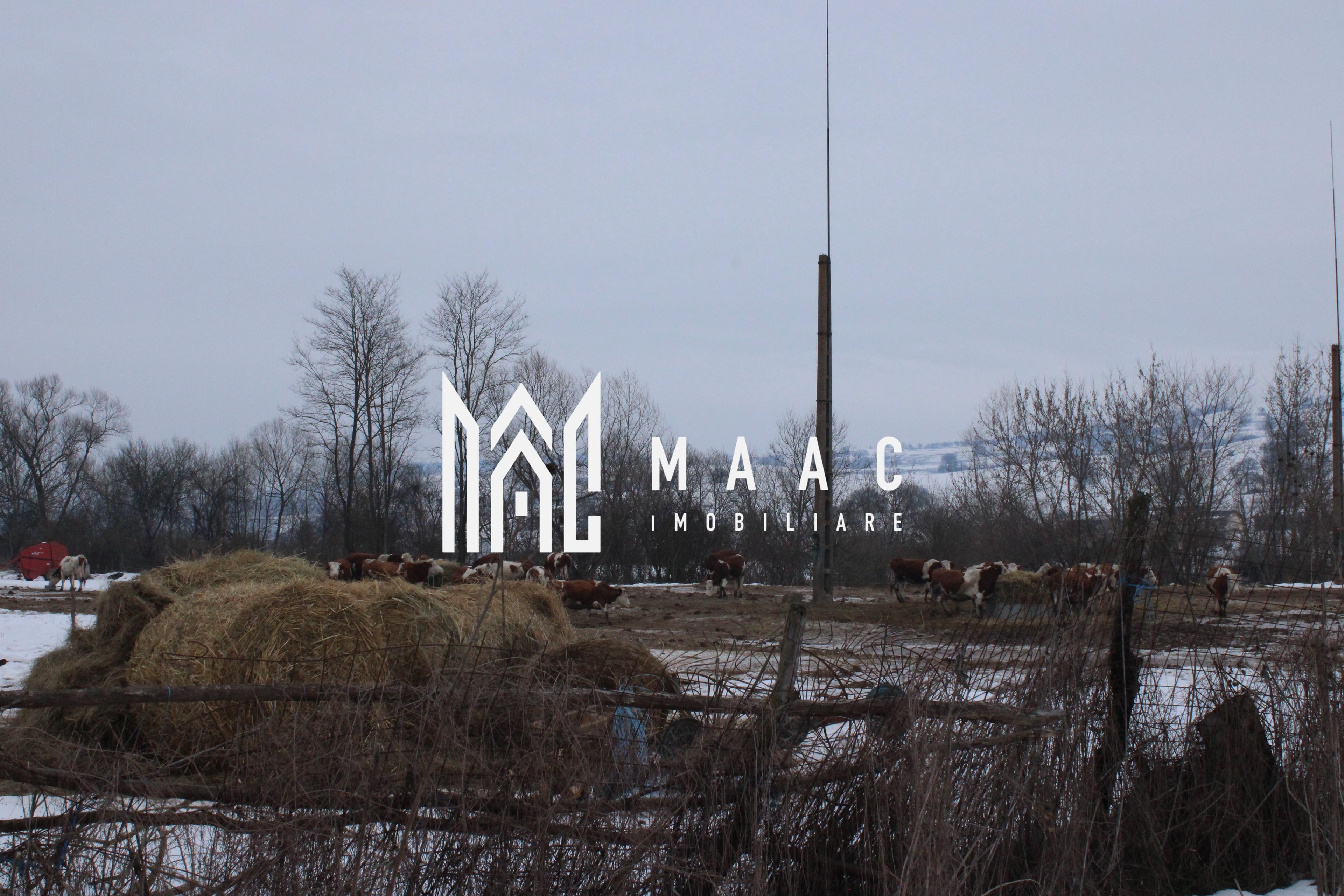 Teren 8000 mp I Intravilan I Utilitati- Vurpar - 4