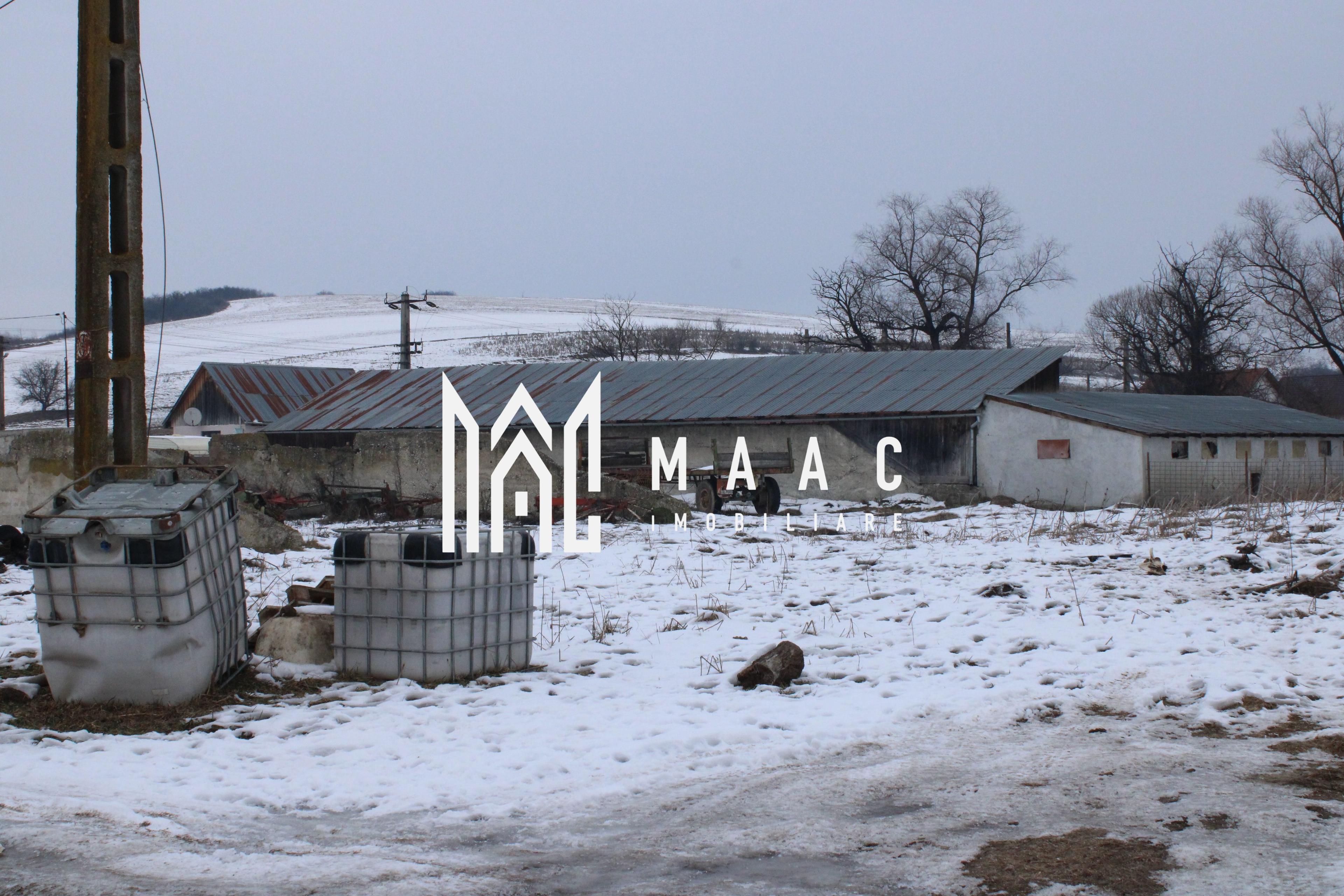 Teren 8000 mp I Intravilan I Utilitati- Vurpar - 5