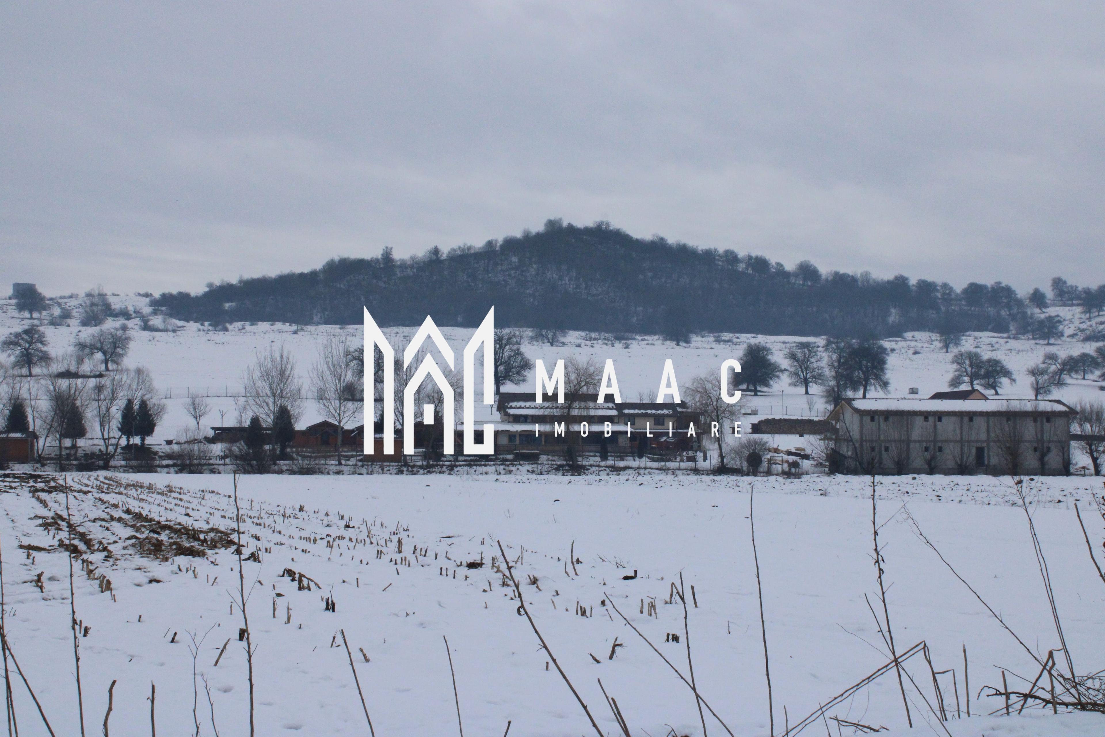 Teren 8000 mp I Intravilan I Utilitati- Vurpar - 2