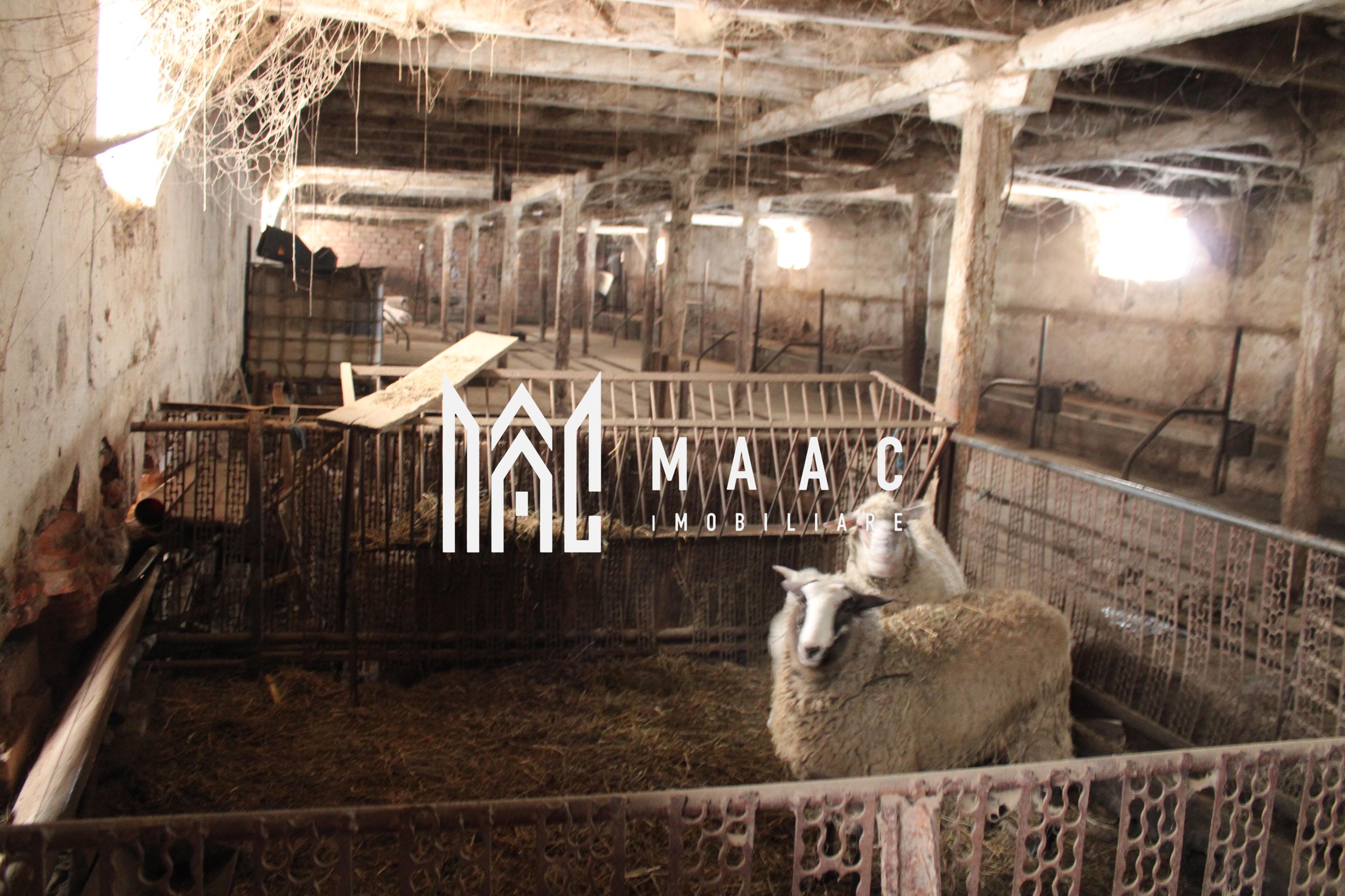 Ferma de Vânzare – Oportunitate Unică! - 6