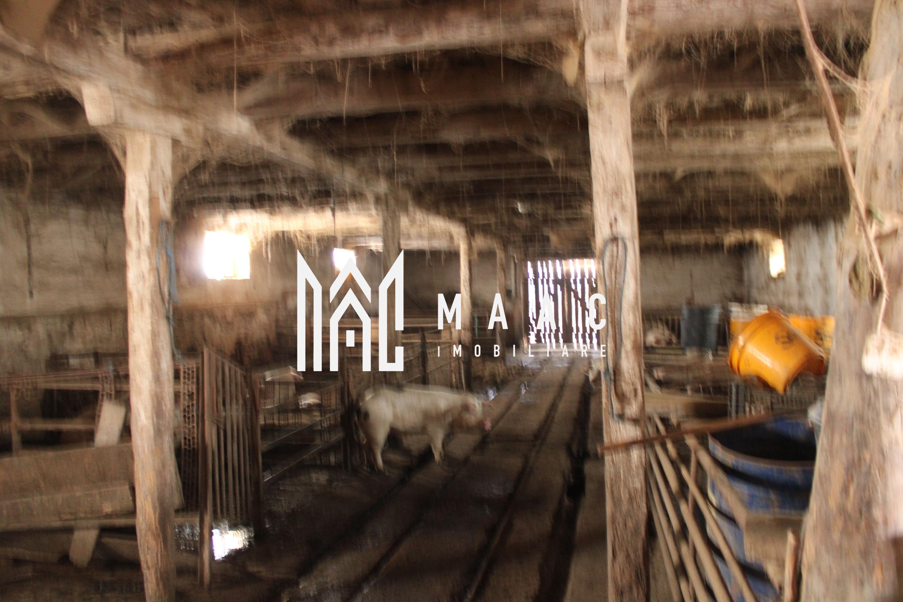 Ferma de Vânzare – Oportunitate Unică! - 7