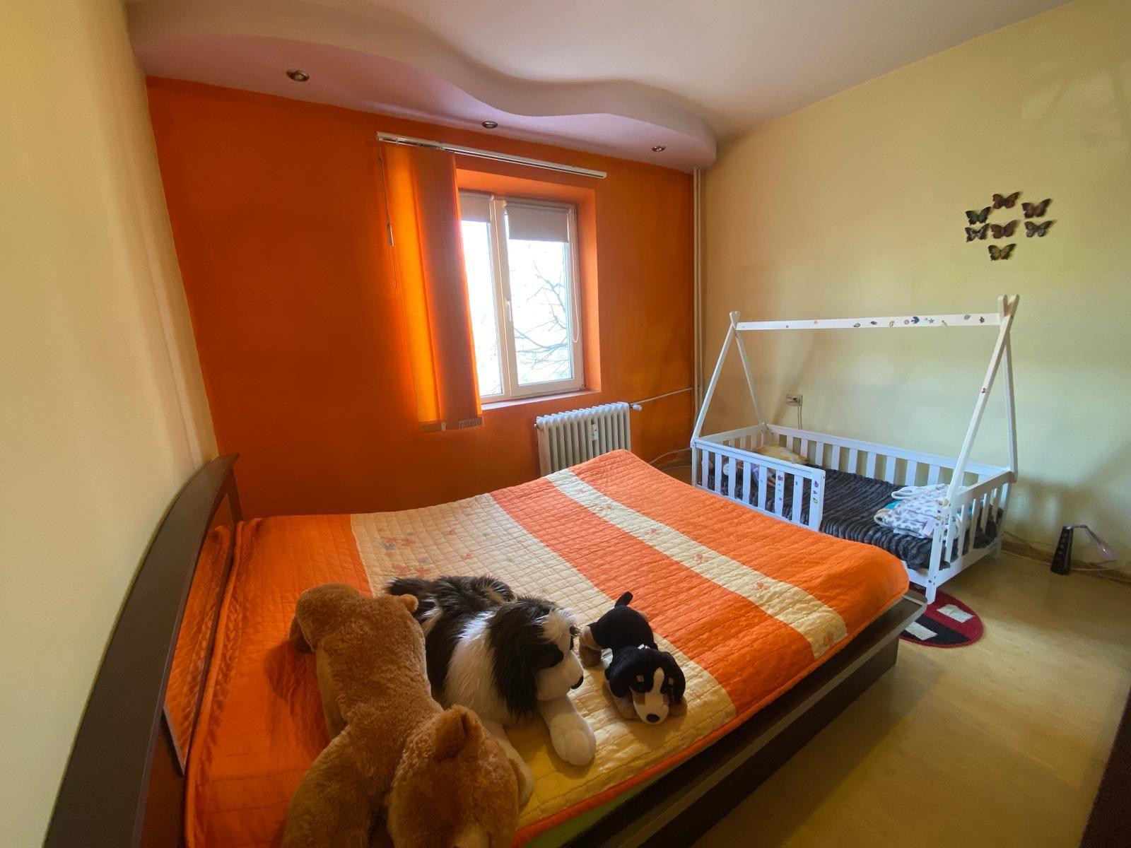 Apartament Dristor - 6