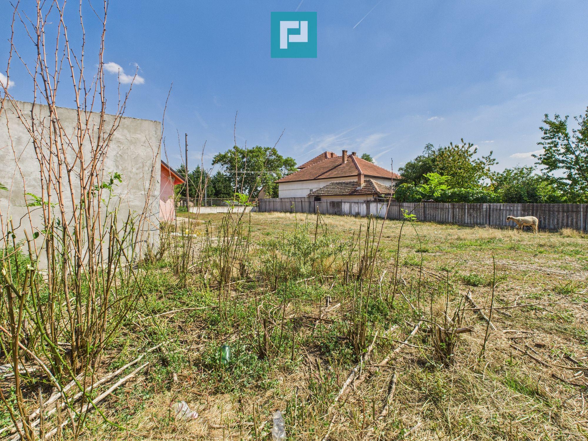 Casă/spațiu comercial pe DN79 în Zimandu Nou - 17