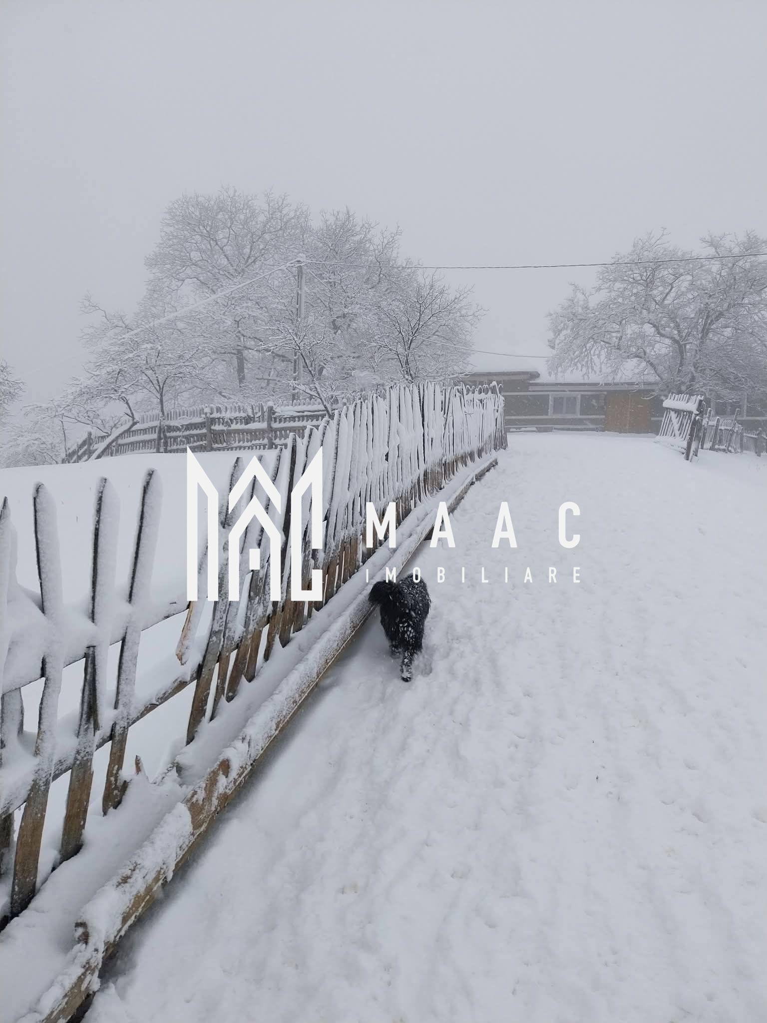 Proprietate cu 60000 mp pamant la pret de apartament - 2