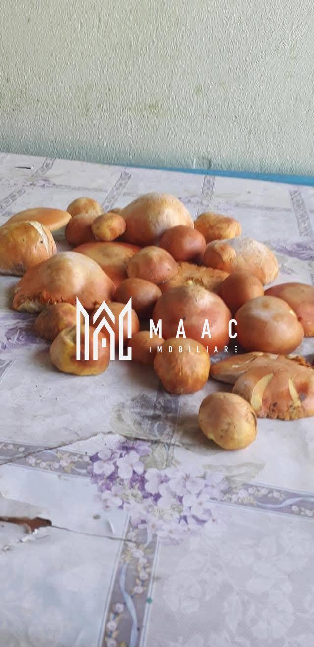 Proprietate cu 60000 mp pamant la pret de apartament - 3