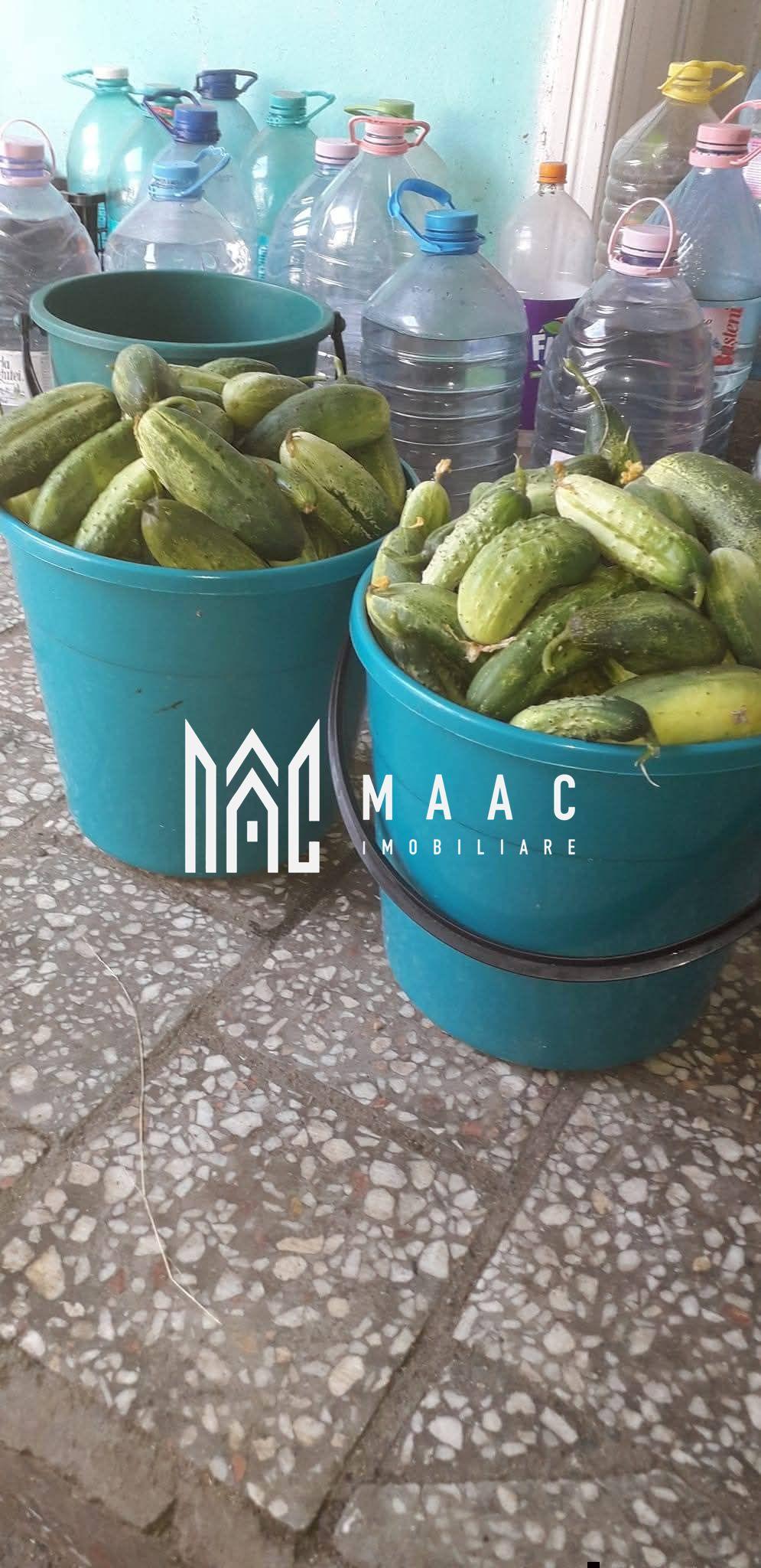 Proprietate cu 60000 mp pamant la pret de apartament - 4