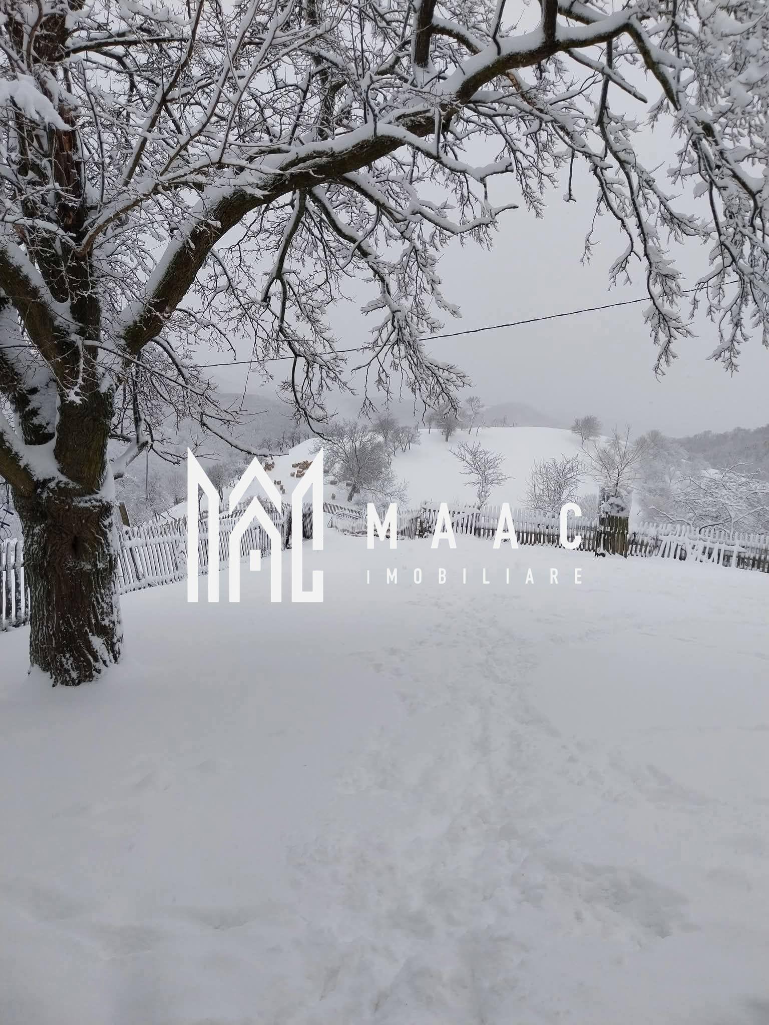 Casa I 60000 mp pamant I Cugir I Alba - 16