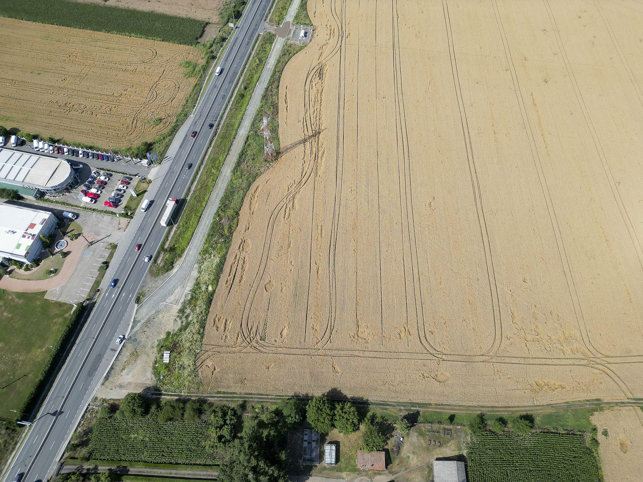 Teren 7653mp cu PUZ aprobat DN Arad Oradea - 8