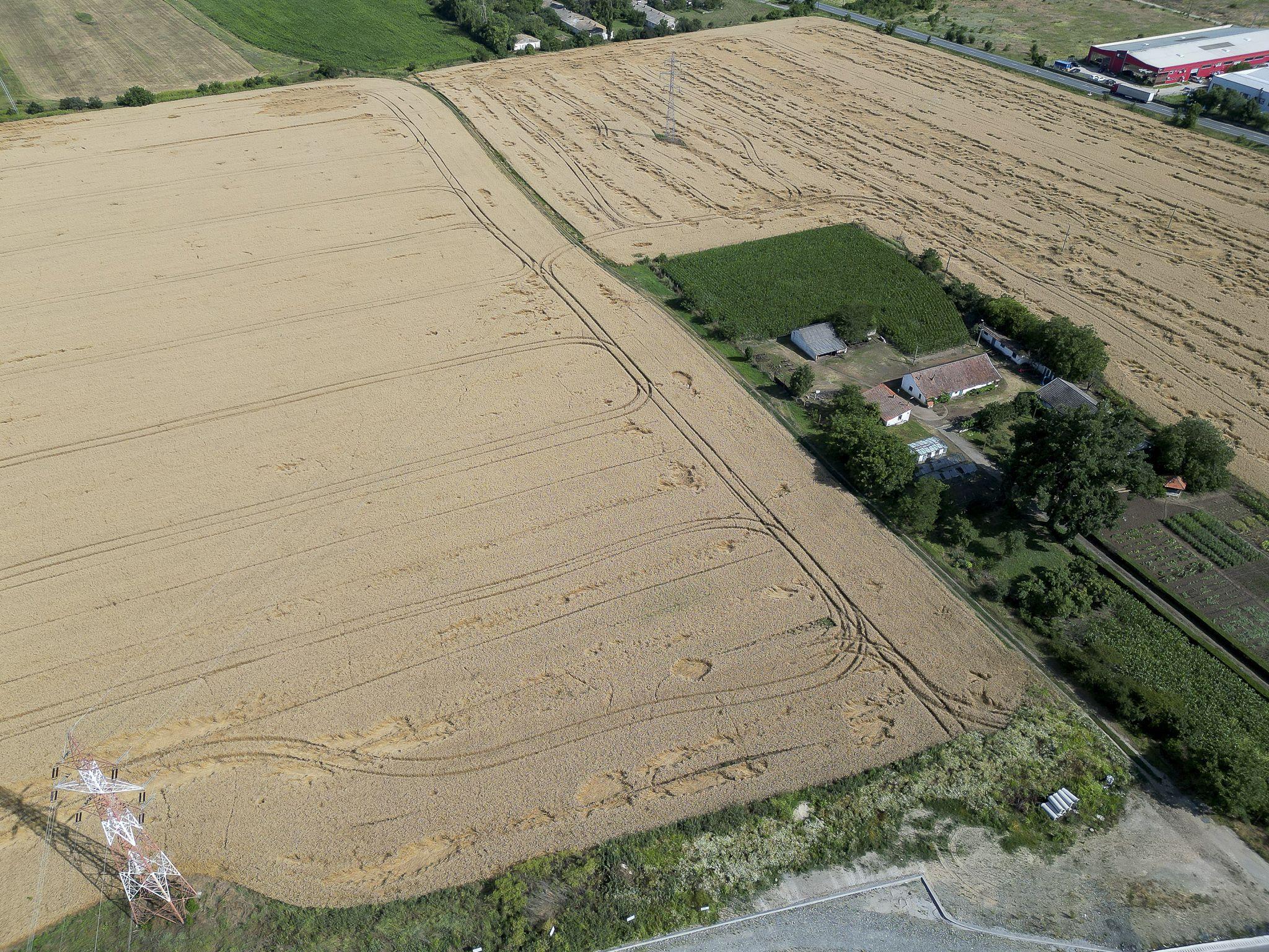 Teren 7653mp cu PUZ aprobat DN Arad Oradea - 7