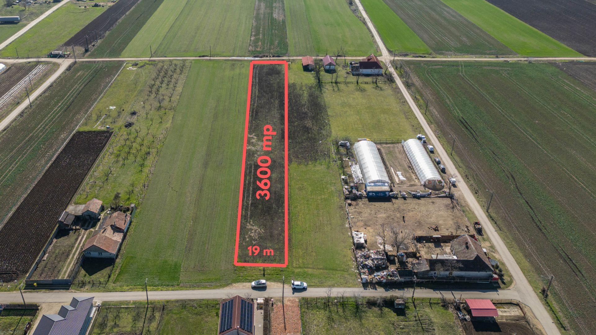 Teren 3.600 mp în Curtici, 2 fronturi stradale – La doar 20 km de Arad