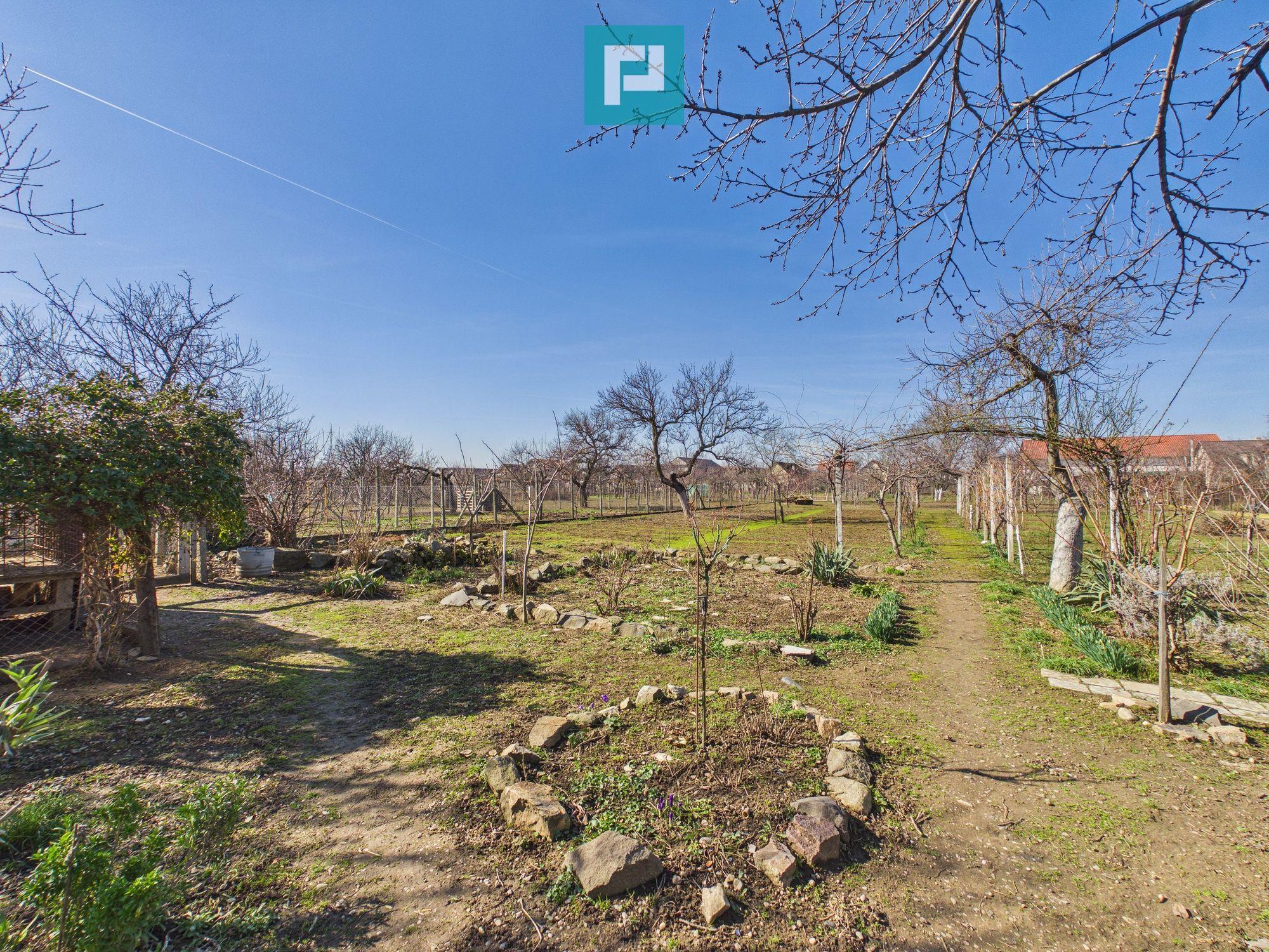 Casă cu 6 camere pe teren de 2029 mp – Miniş - 22