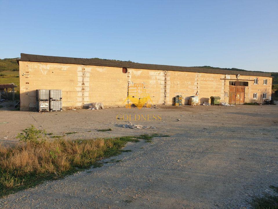 Hala industriala Dej cu platforma betonata curent trifazi - 6