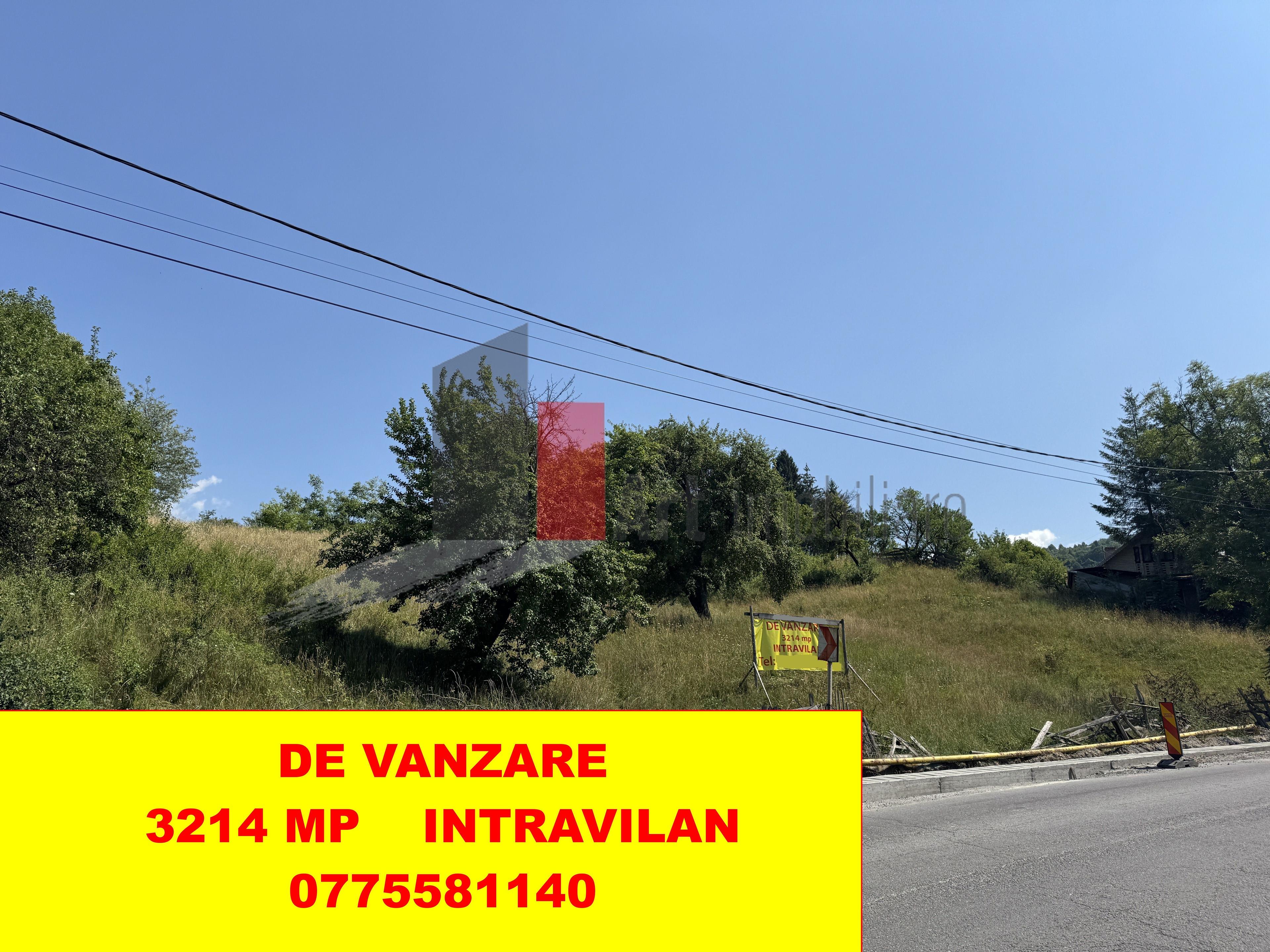 Teren intravilan 3214 mp în Rucăr cu deschidere 56 m în DN73 - 9