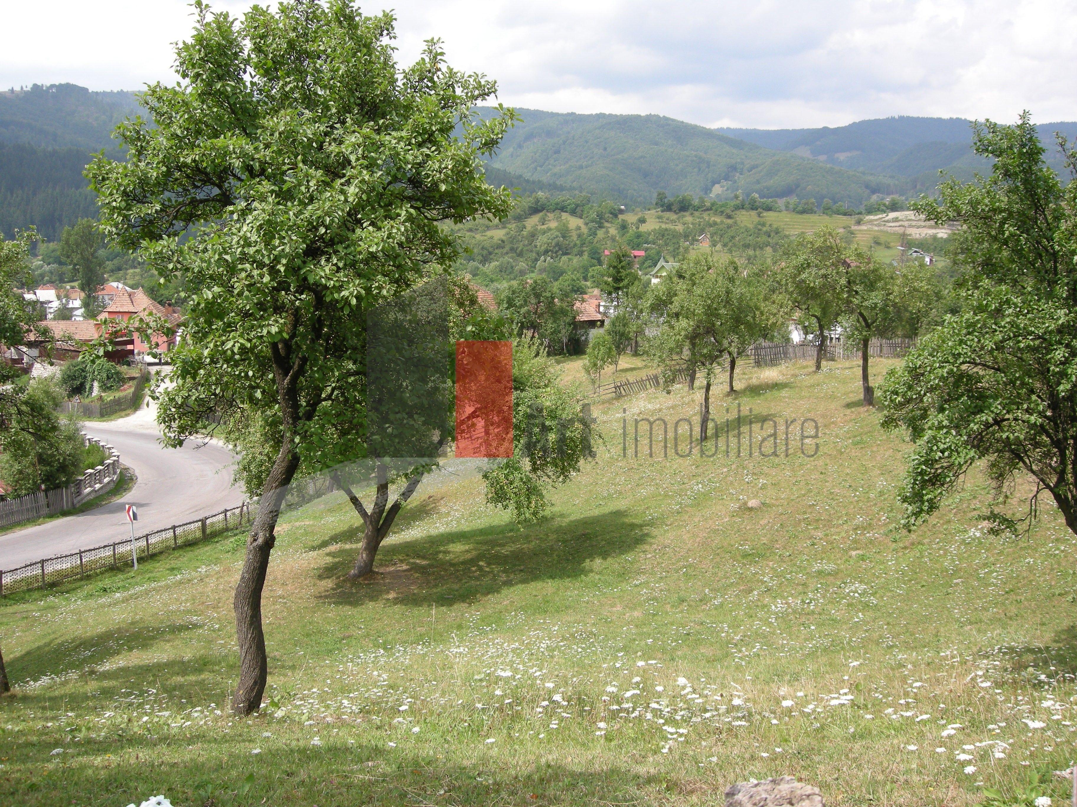 Teren intravilan 3214 mp în Rucăr cu deschidere 56 m în DN73 - 4