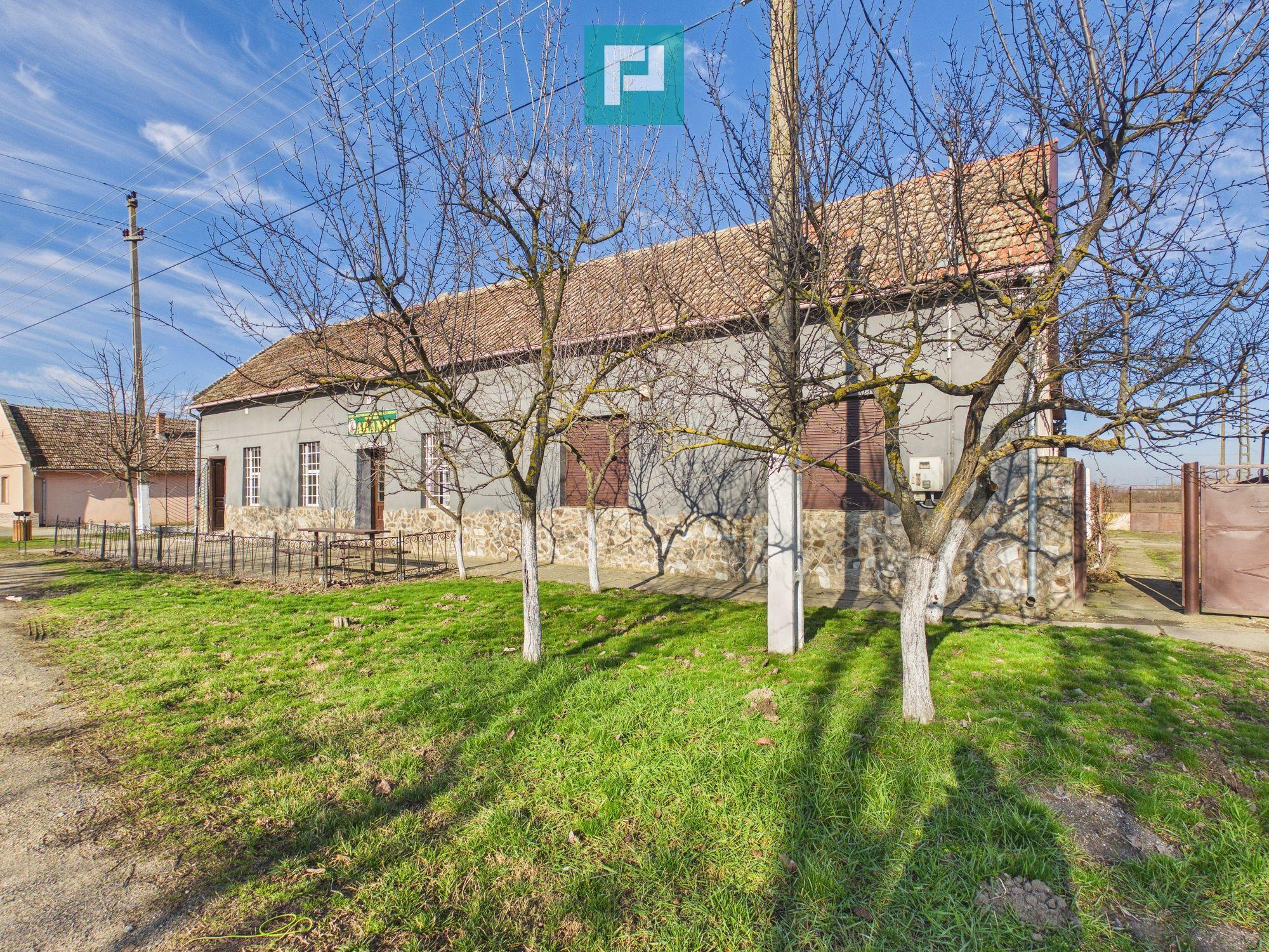 Spațiu comercial de 225 mp în Satu Mare - 2