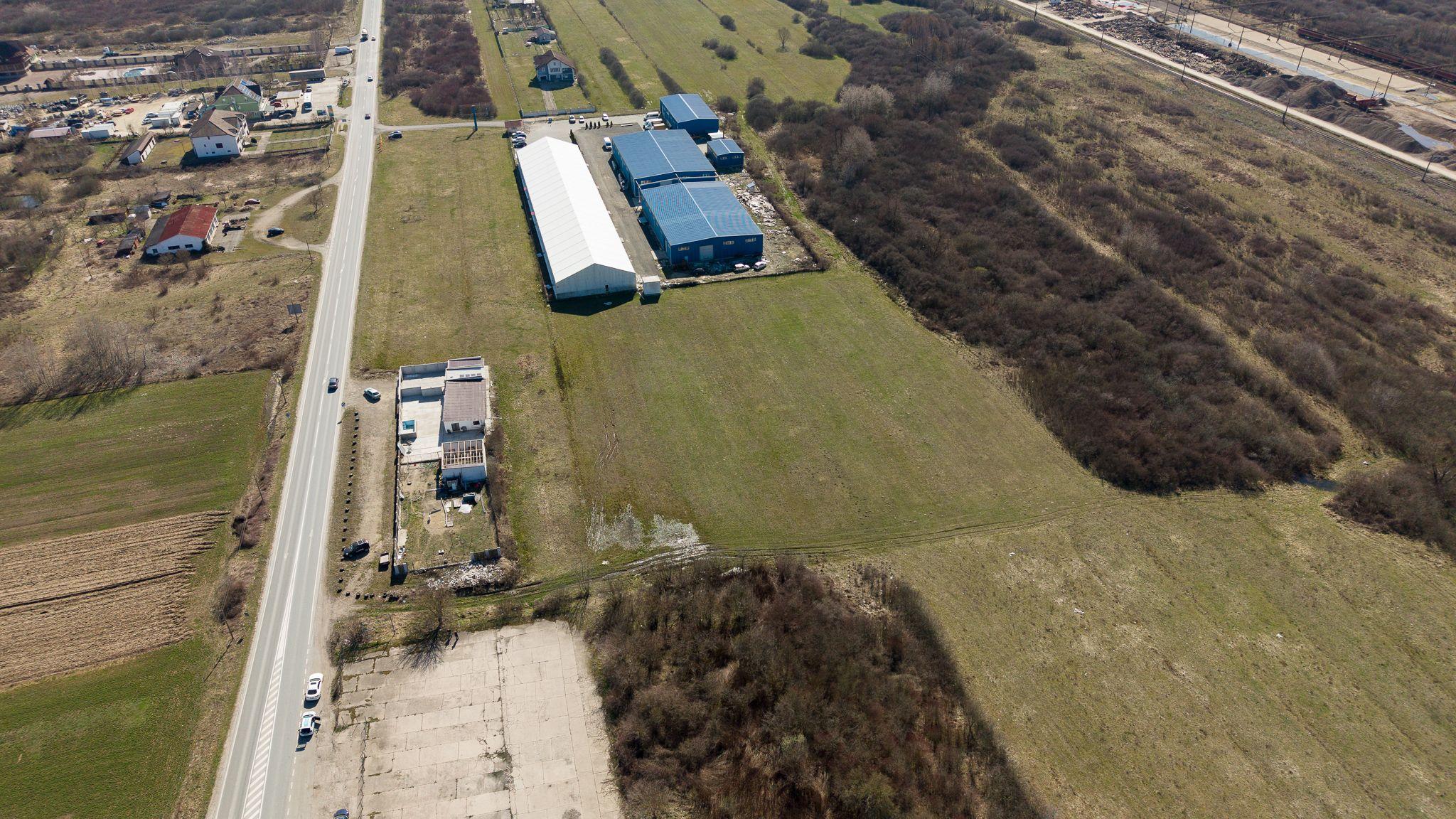 Teren extravilan de 7.000 mp lângă Păltiniș - 5