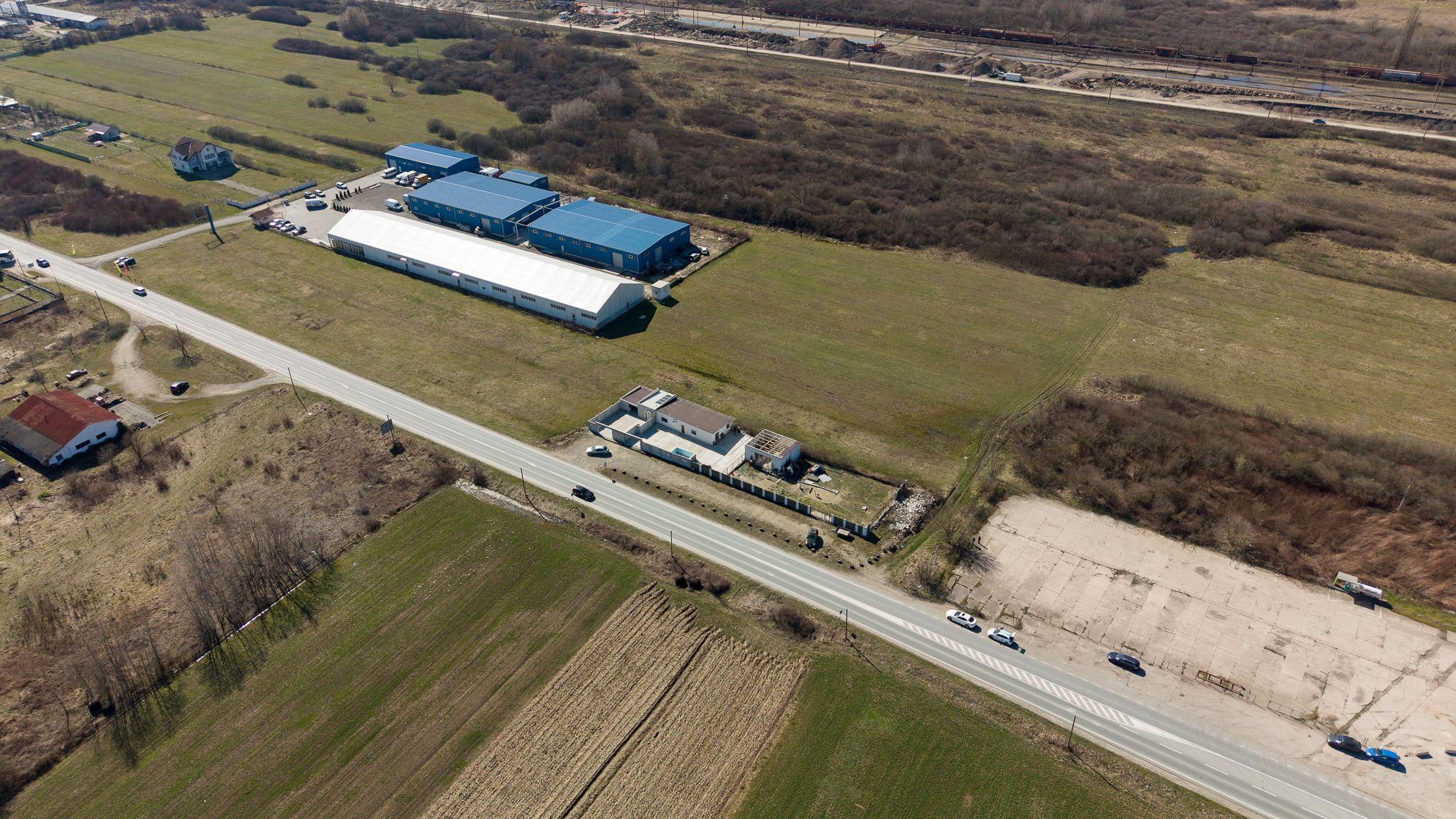 Teren extravilan de 7.000 mp lângă Păltiniș - 7