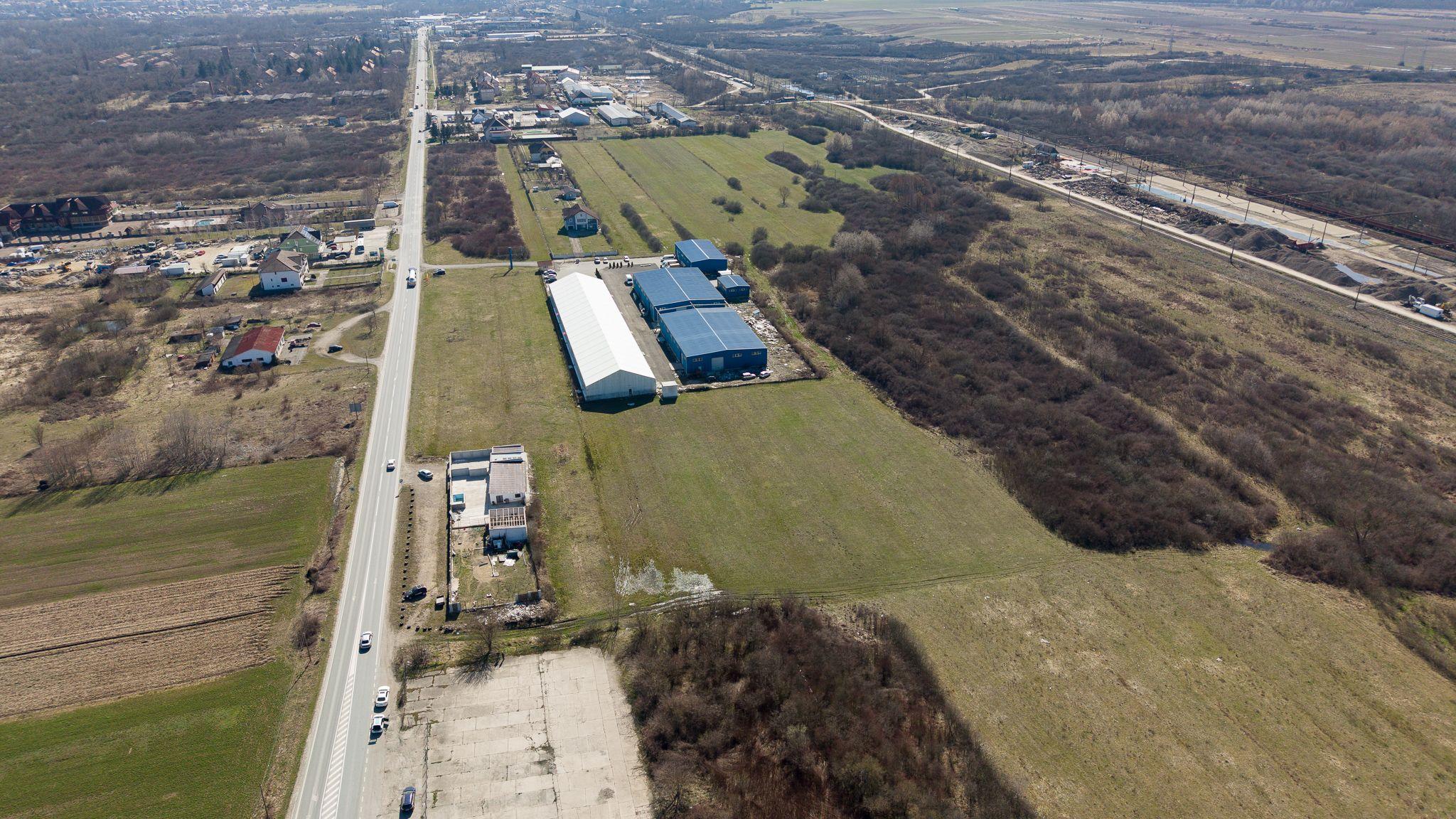 Teren extravilan de 7.000 mp lângă Păltiniș - 2