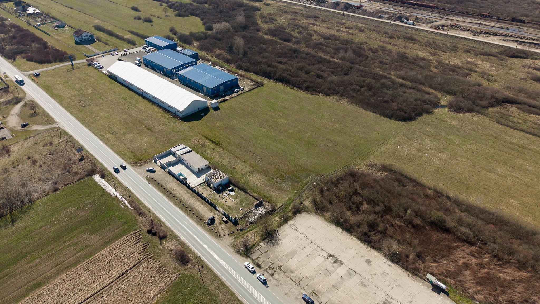 Teren extravilan de 7.000 mp lângă Păltiniș - 8