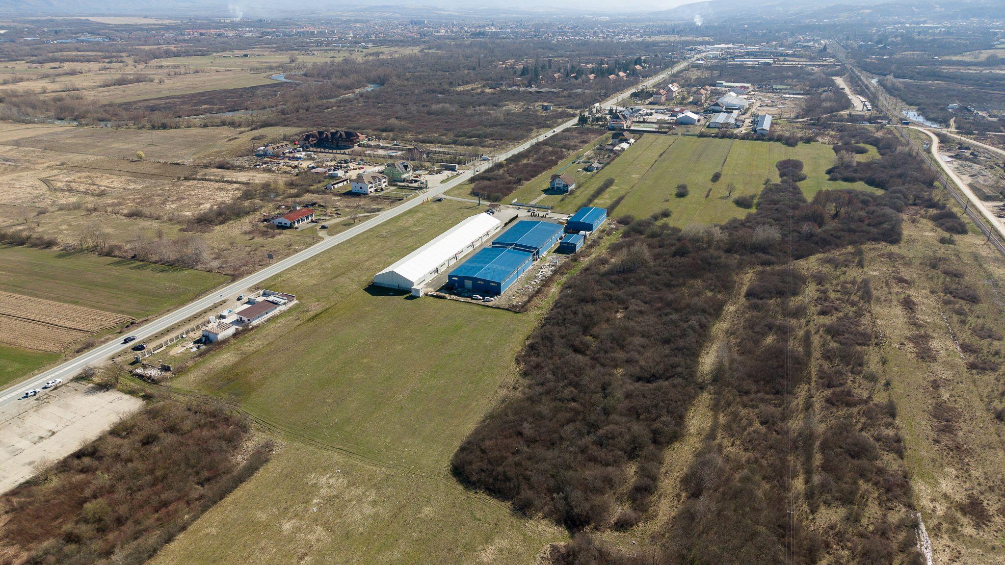 Teren extravilan de 7.000 mp lângă Păltiniș - 10