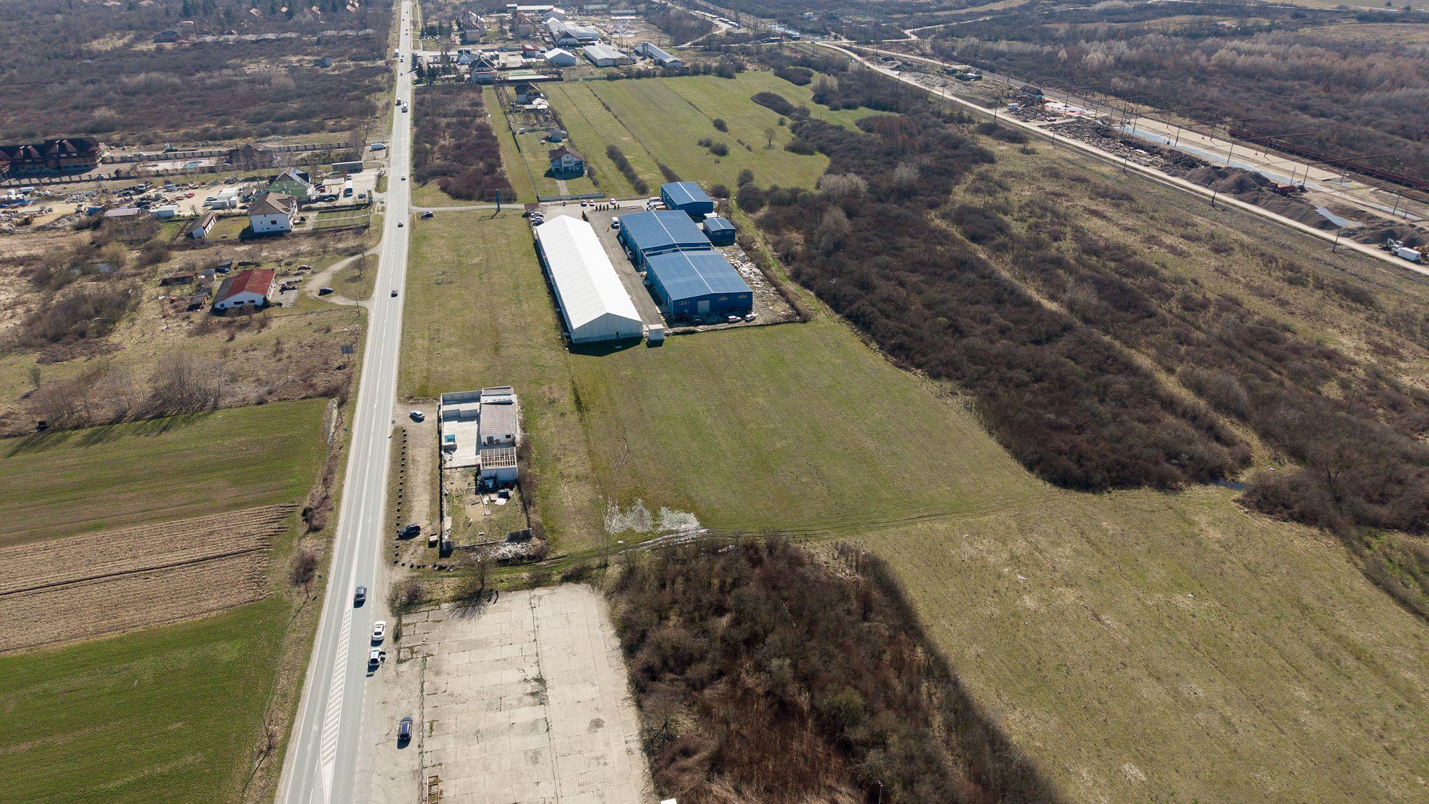 Teren extravilan de 7.000 mp lângă Păltiniș - 4