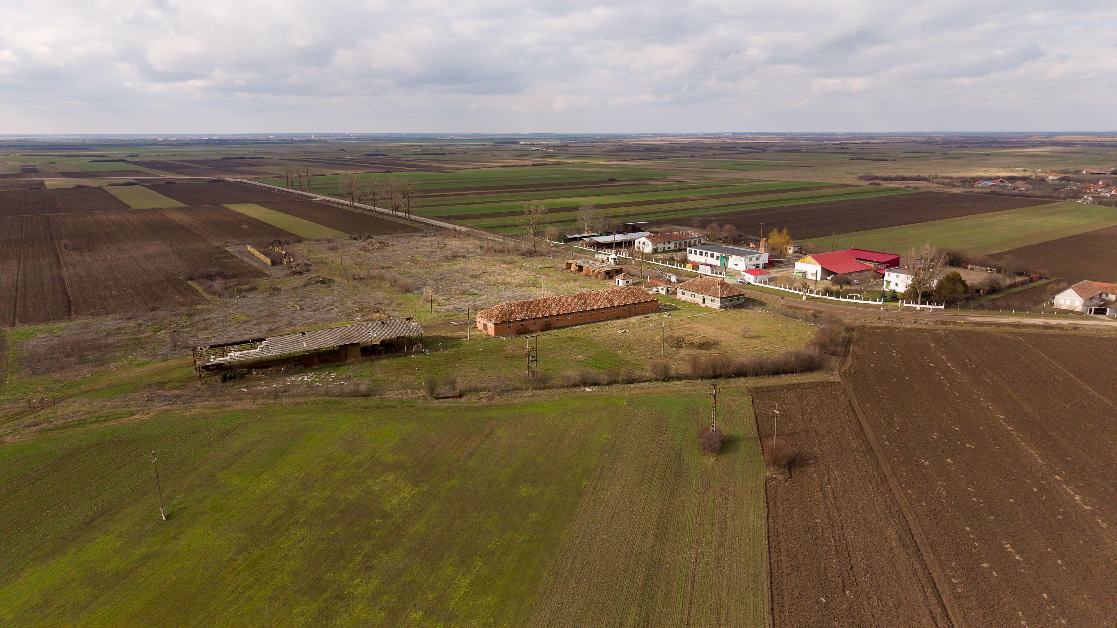 Fermă cu teren intravilan de 35000 mp în Mișca - 10