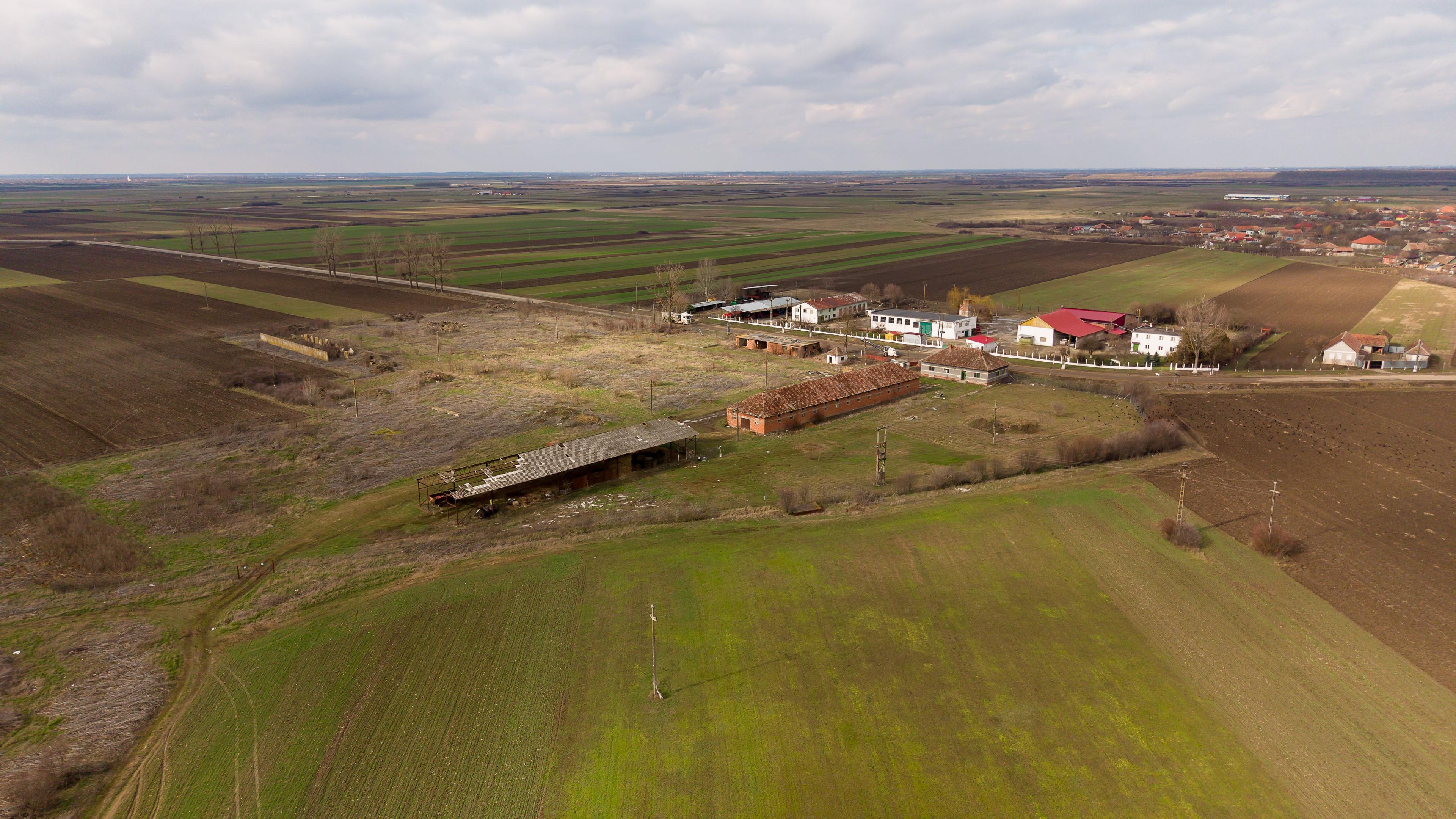 Fermă cu teren intravilan de 35000 mp în Mișca - 11