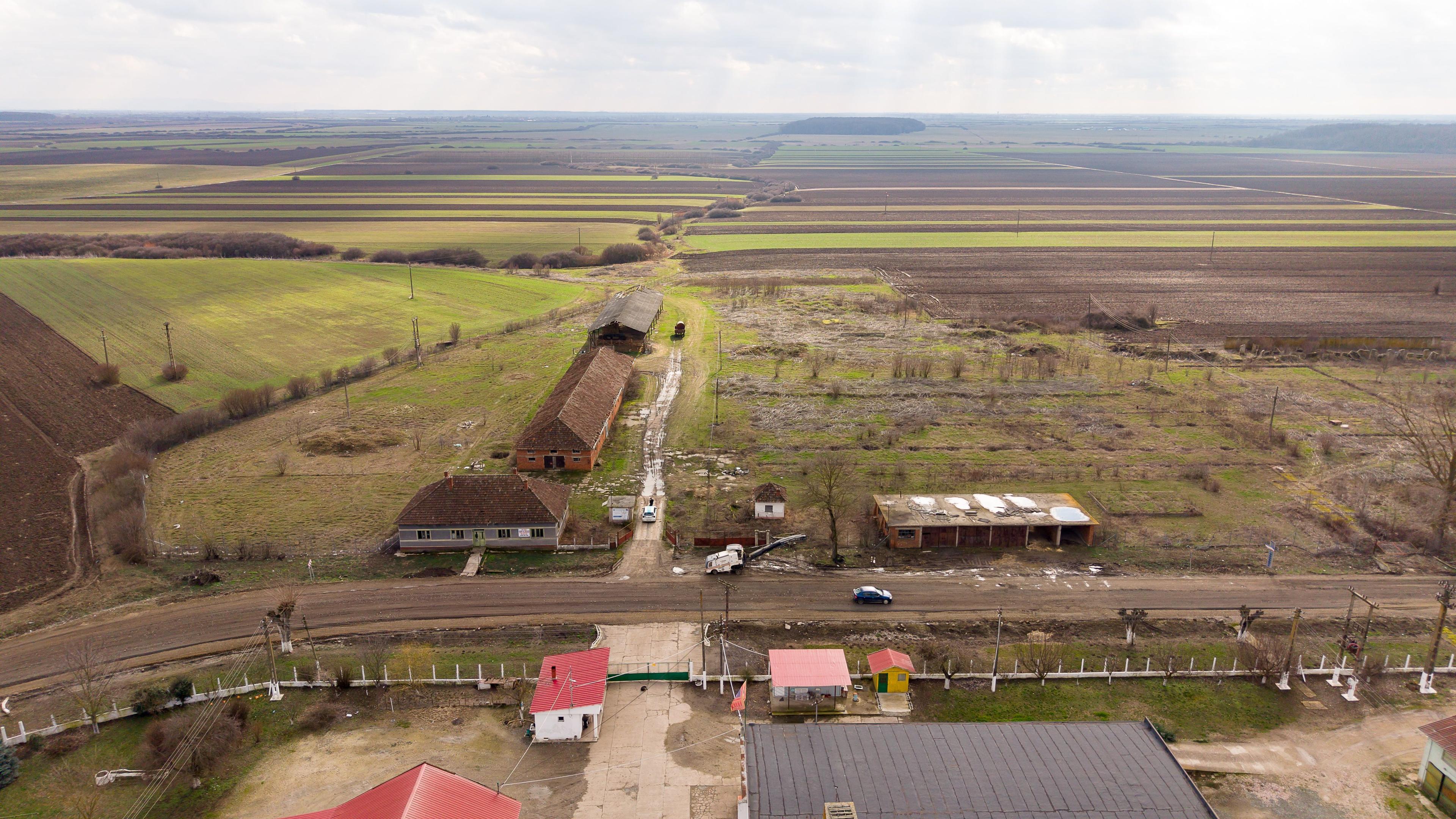Fermă cu teren intravilan de 35000 mp în Mișca - 23