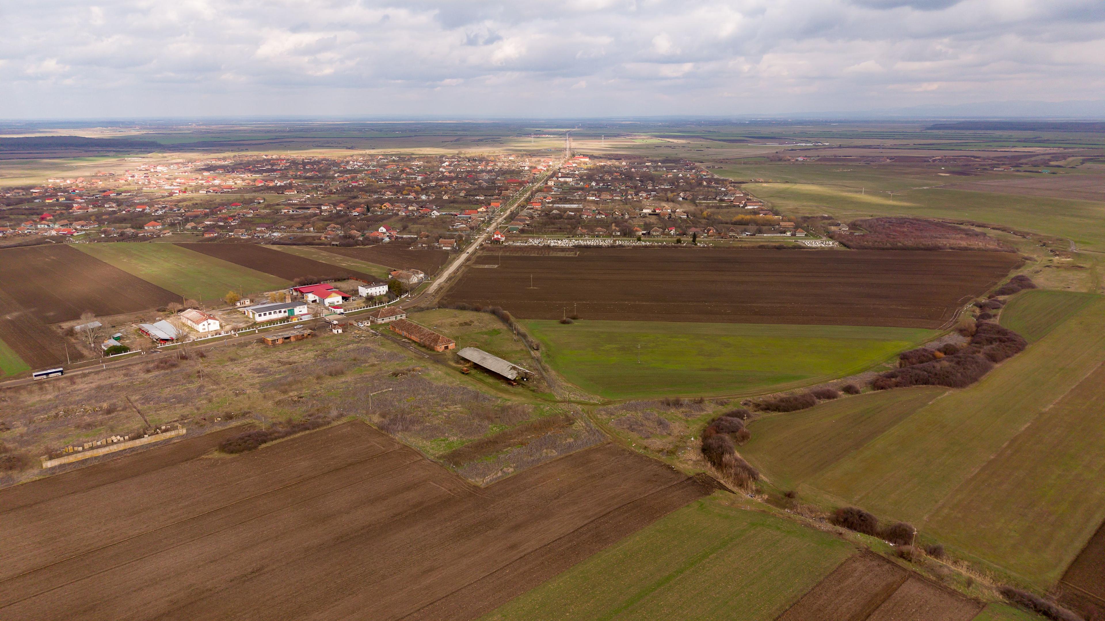 Fermă cu teren intravilan de 35000 mp în Mișca - 6