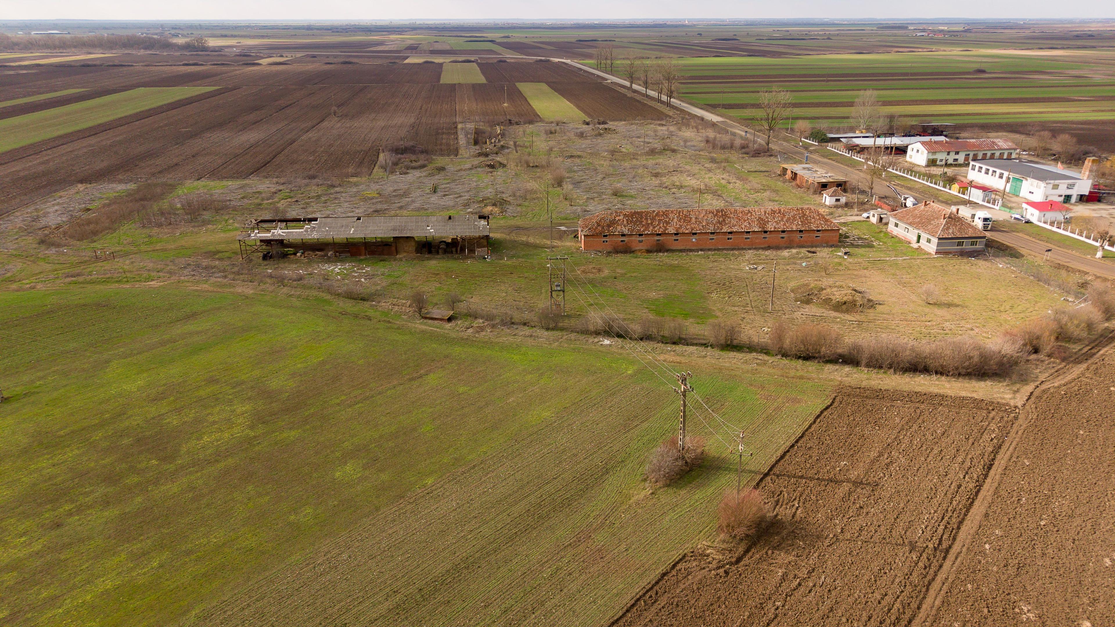 Fermă cu teren intravilan de 35000 mp în Mișca - 16