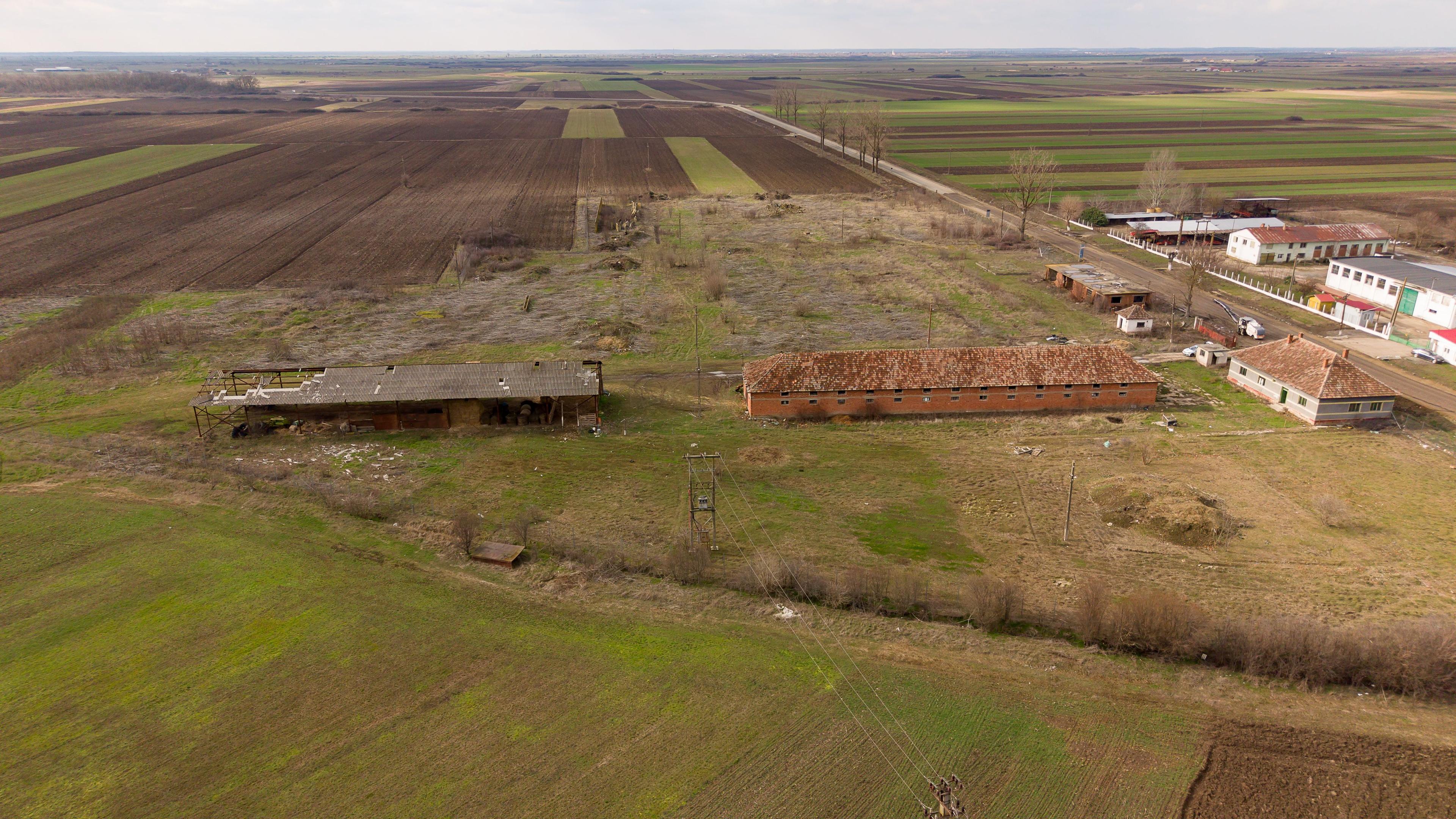 Fermă cu teren intravilan de 35000 mp în Mișca - 13