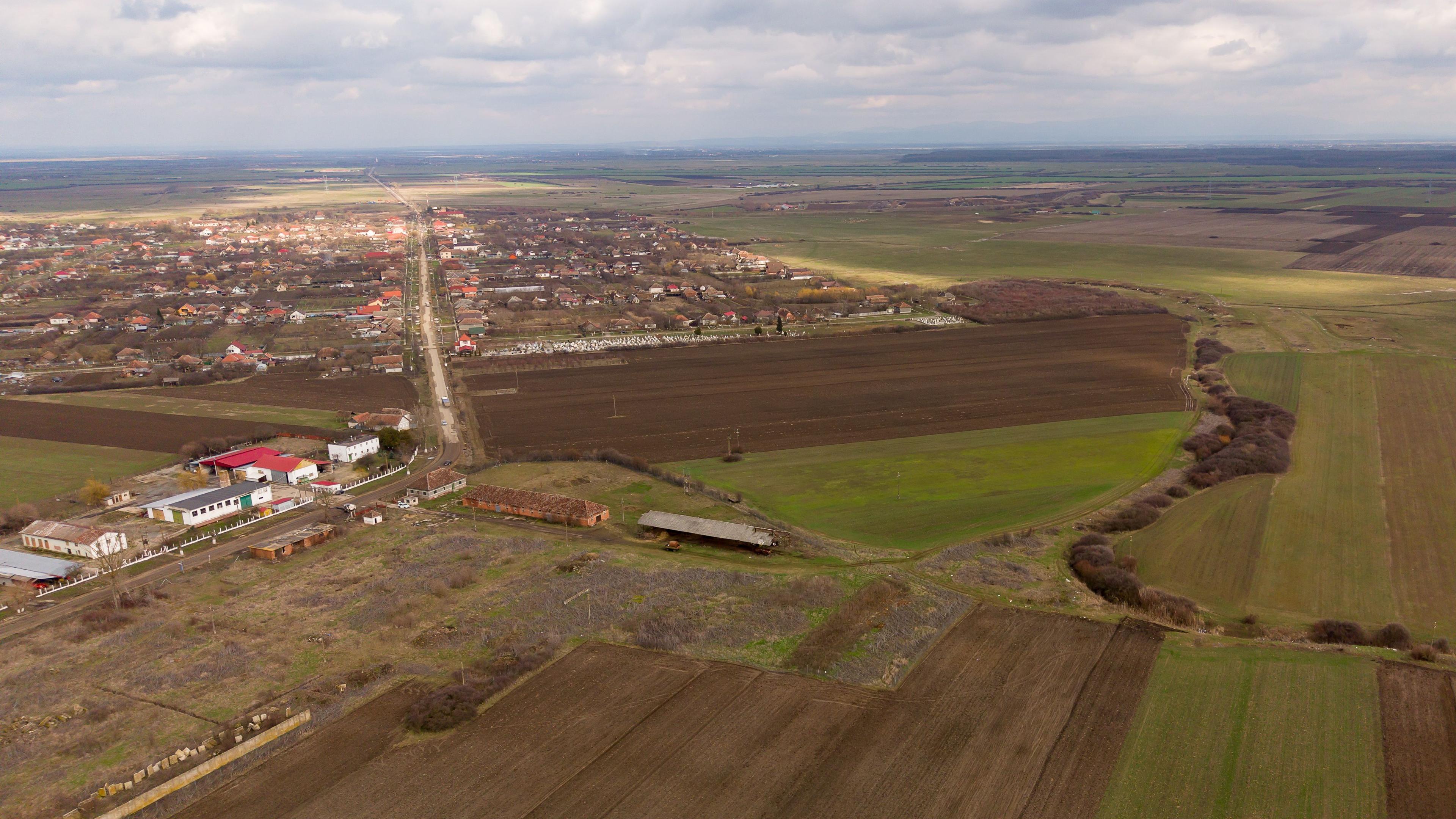 Fermă cu teren intravilan de 35000 mp în Mișca - 29