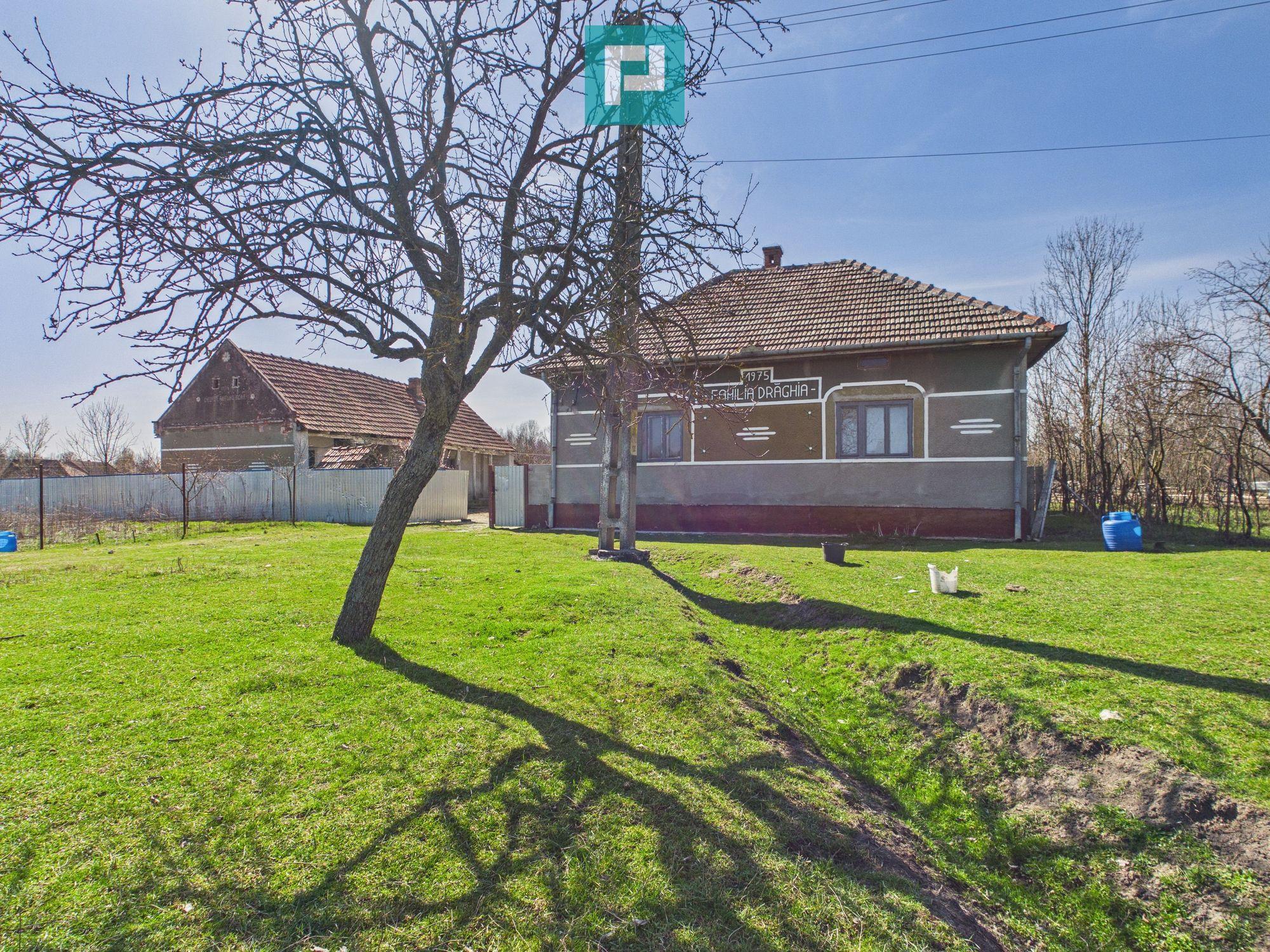 Casă cu teren de 6000 mp în Duboz, Timiș - 1