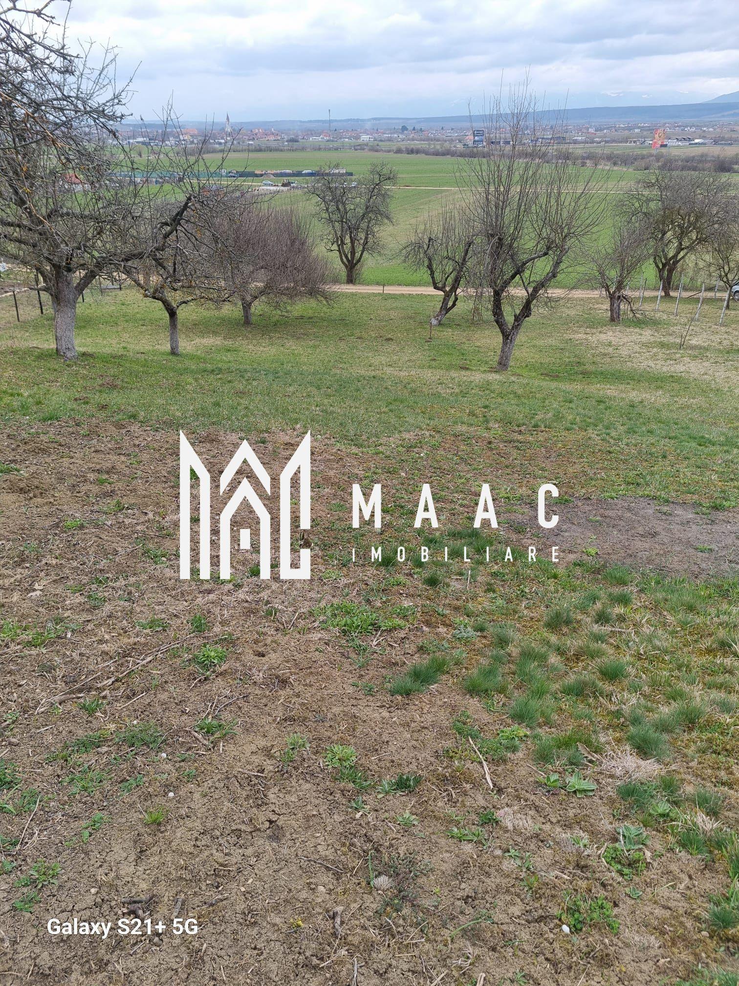 Teren 1400 mp | Valea Mărului | Parcelabil | Cabane / Retreat în natură - 2