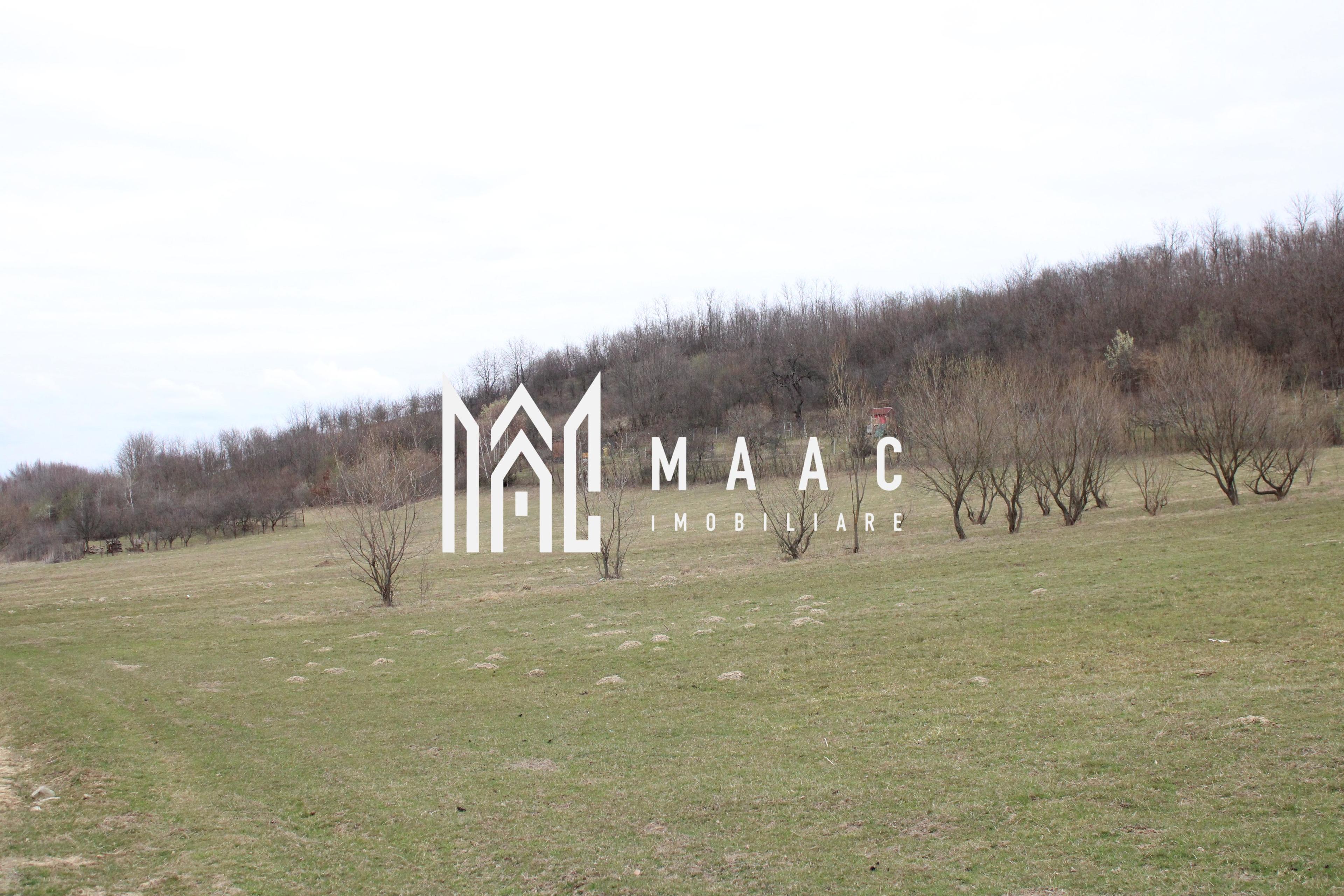 Pământ I Fereastră către Eternitate în Transilvania - 10