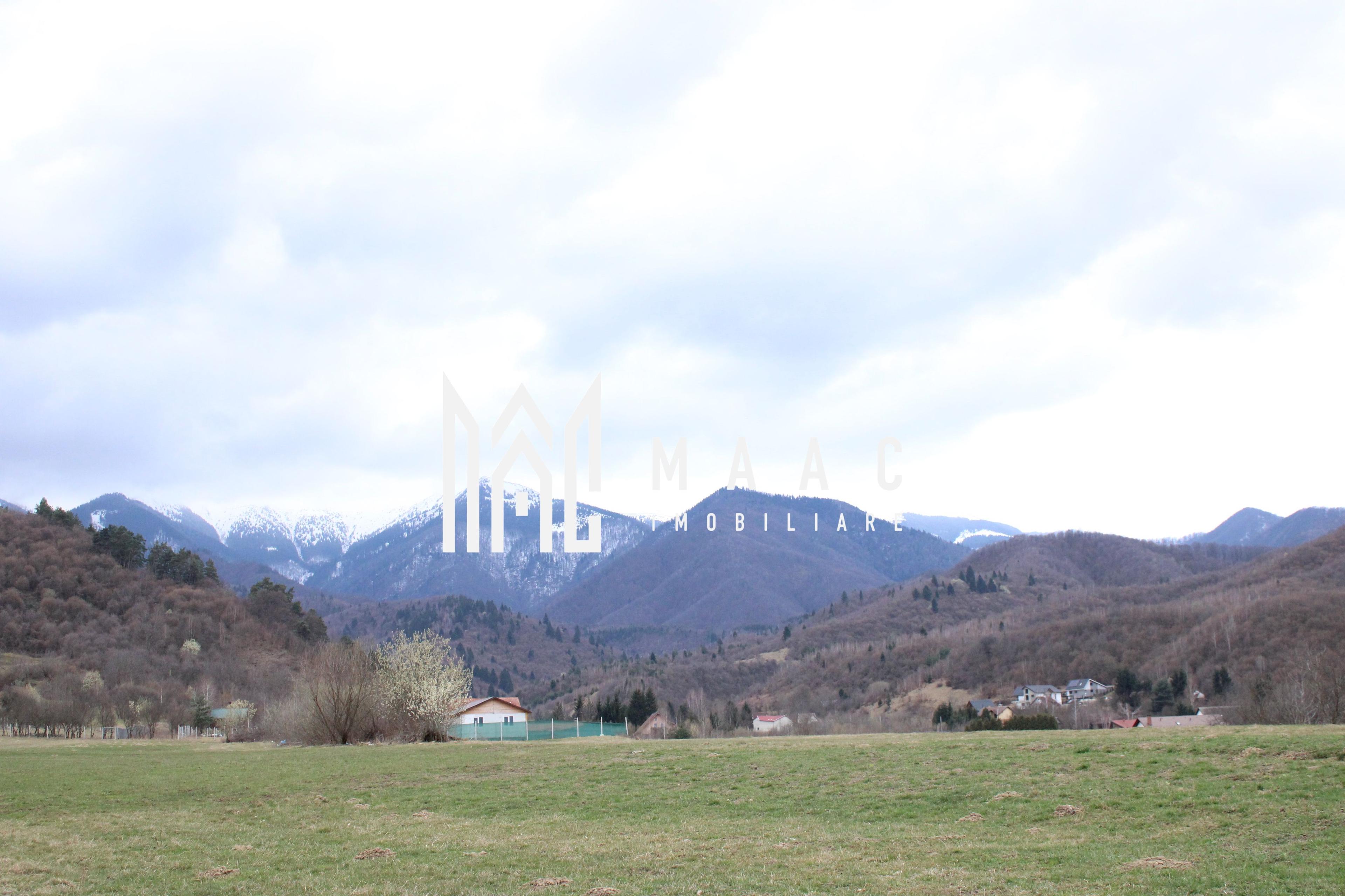 Pământ I Fereastră către Eternitate în Transilvania - 7