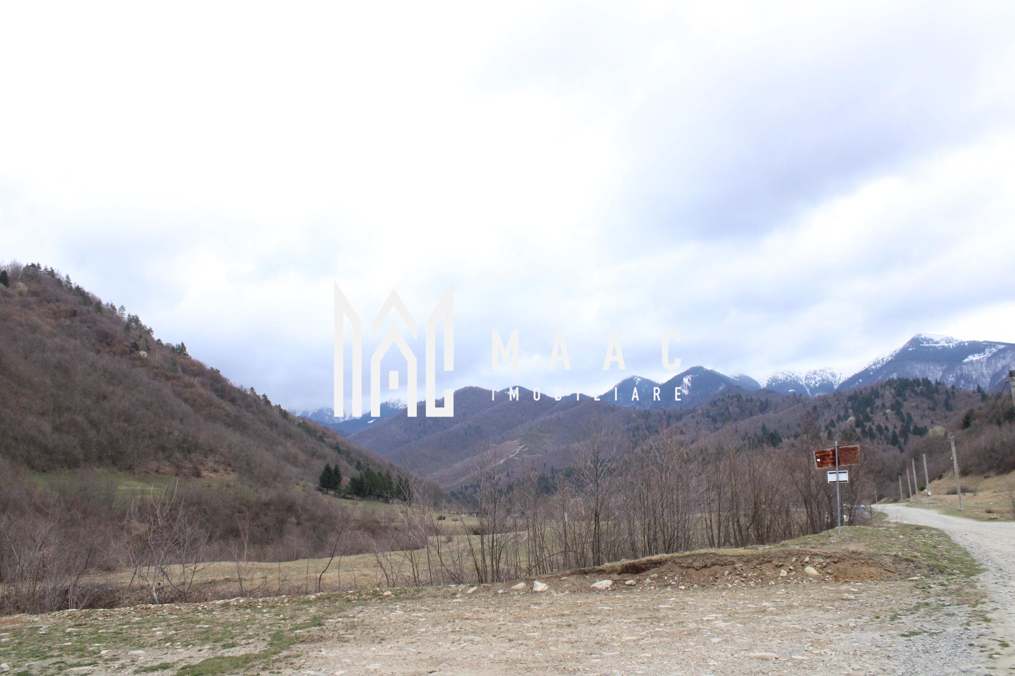 Pământ I Fereastră către Eternitate în Transilvania - 3