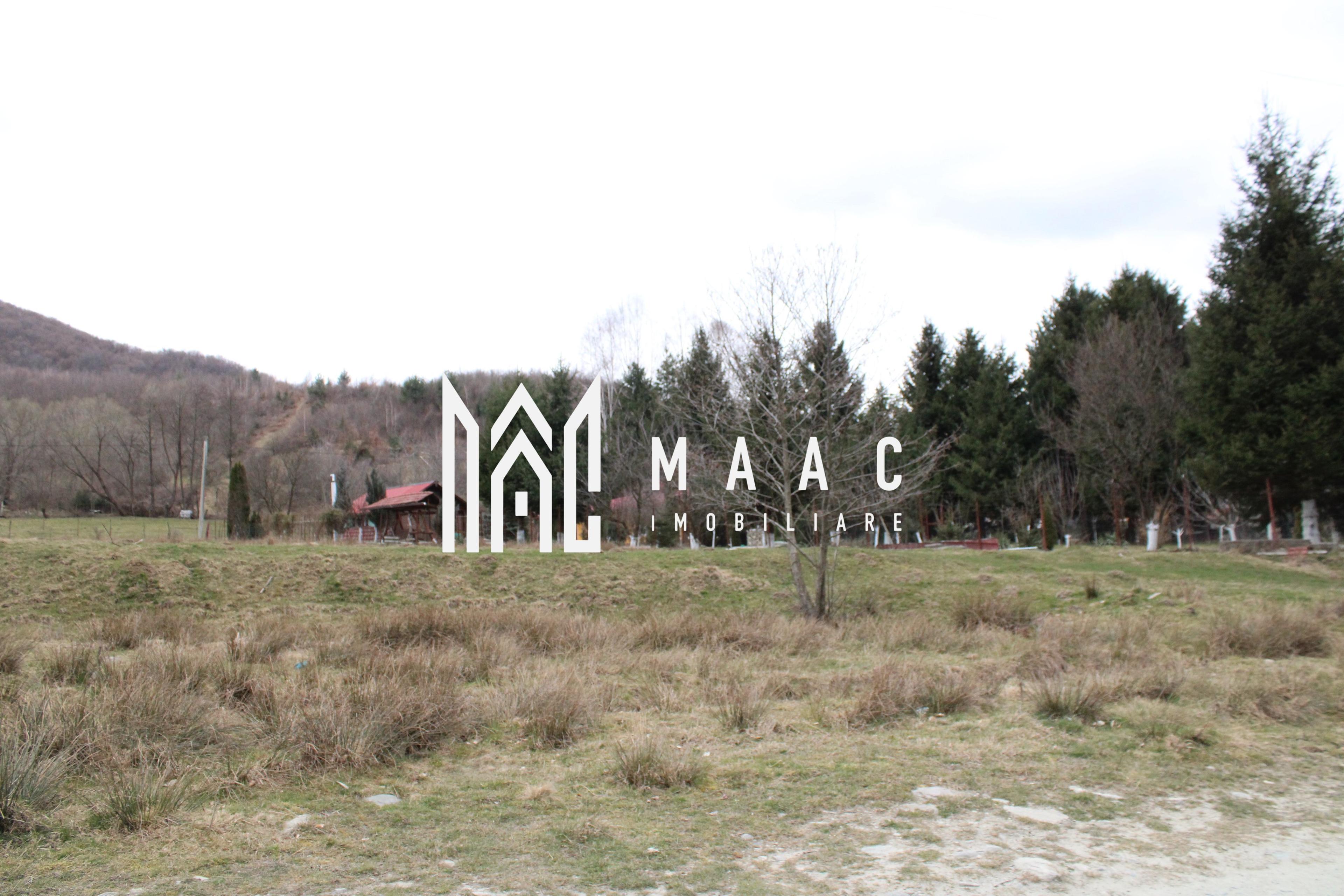 Pământ I Fereastră către Eternitate în Transilvania - 5